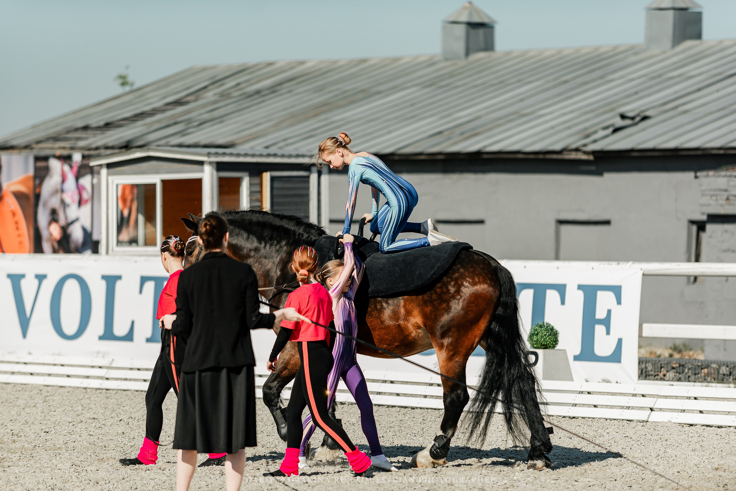 РЕПОРТАЖ МКК ВОЛЬТ «LA TULIPS». Конный фотограф Куракина Дарья • Фотосессии с лошадьми