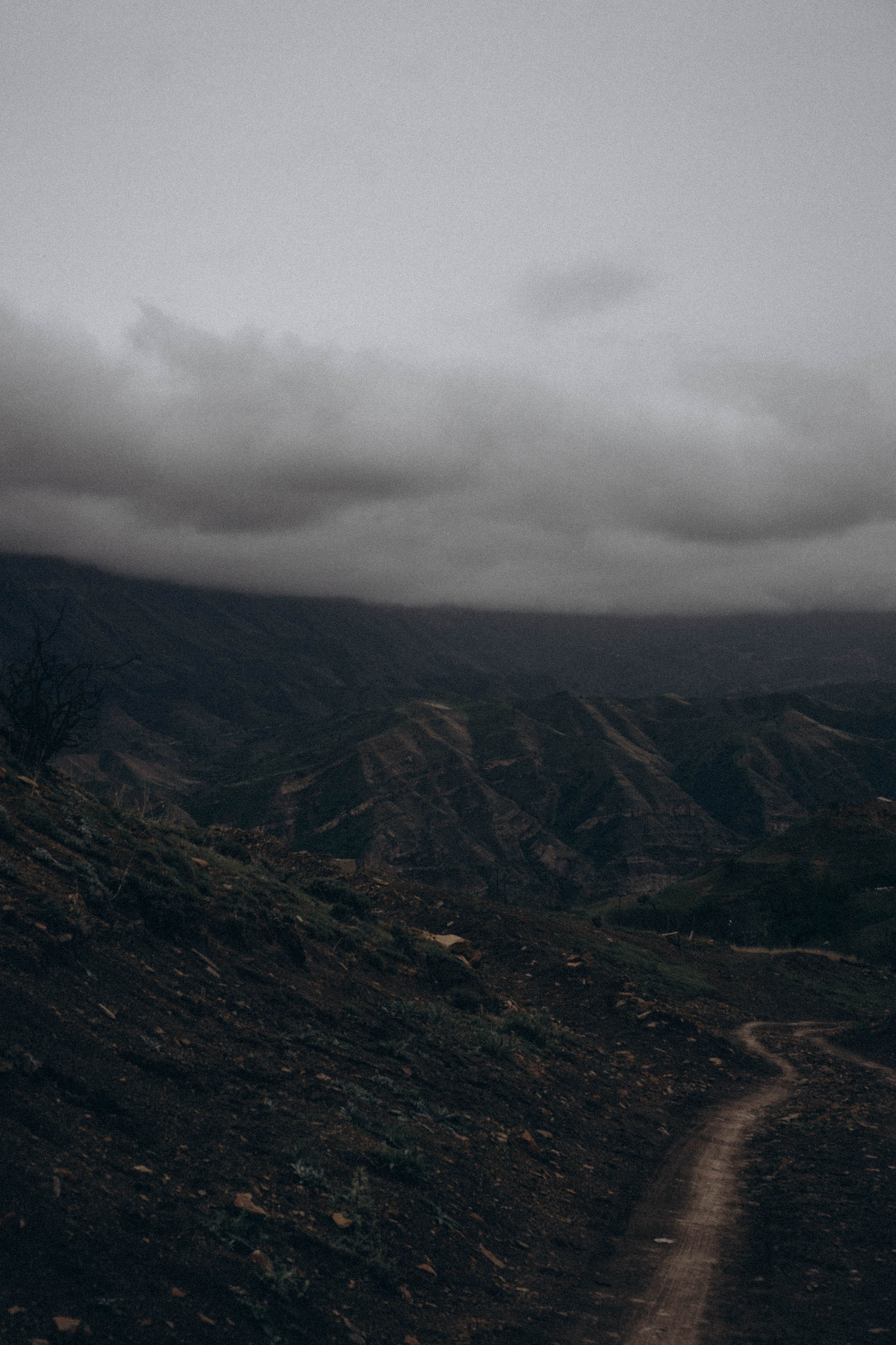 Кавказ. Профессиональный фотограф, Санкт-Петербург — Виктория Богомолова