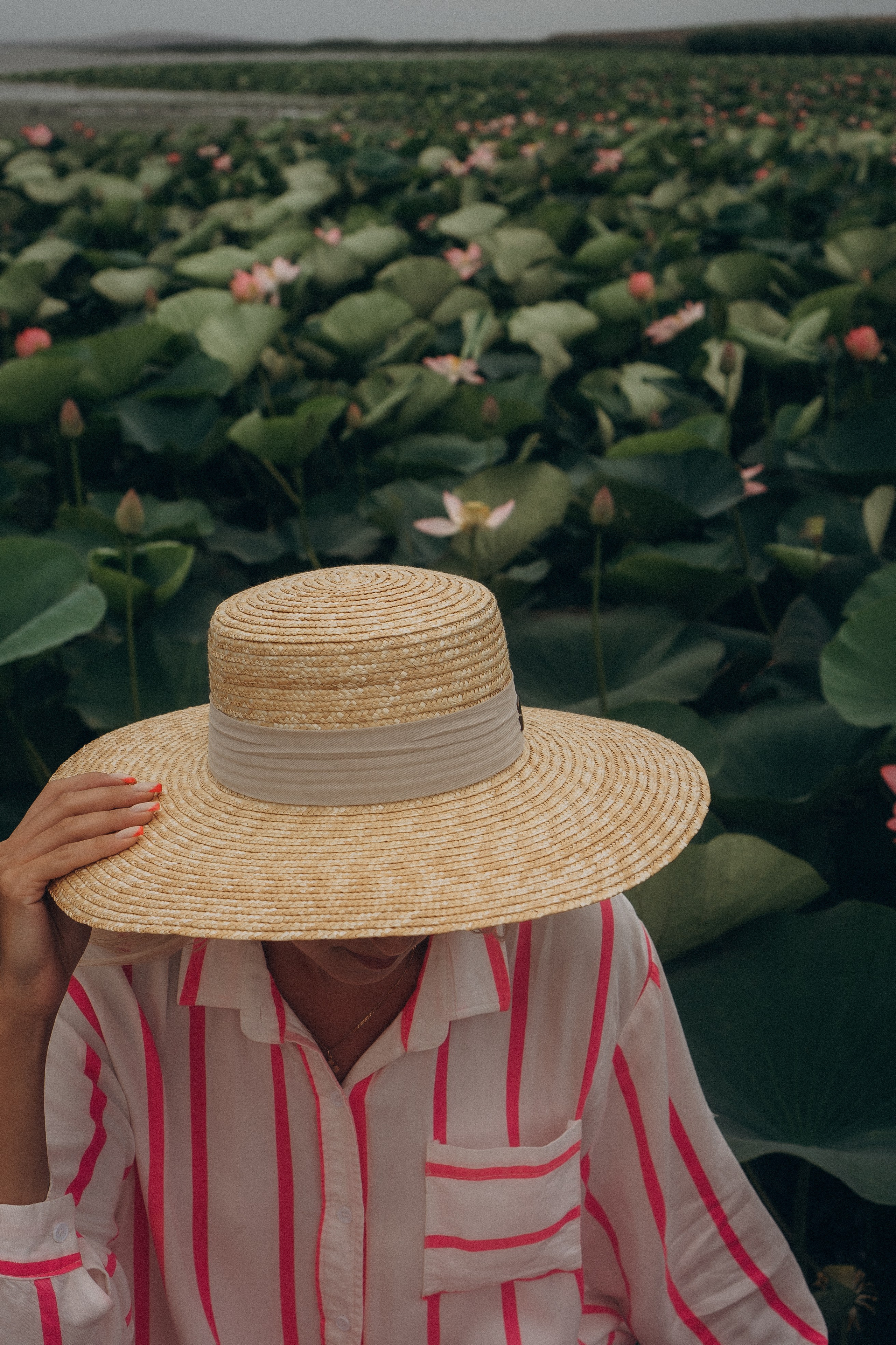 ЛОТОСОВАЯ ПОЛЯНА. Профессиональный фотограф, Санкт-Петербург — Виктория Богомолова