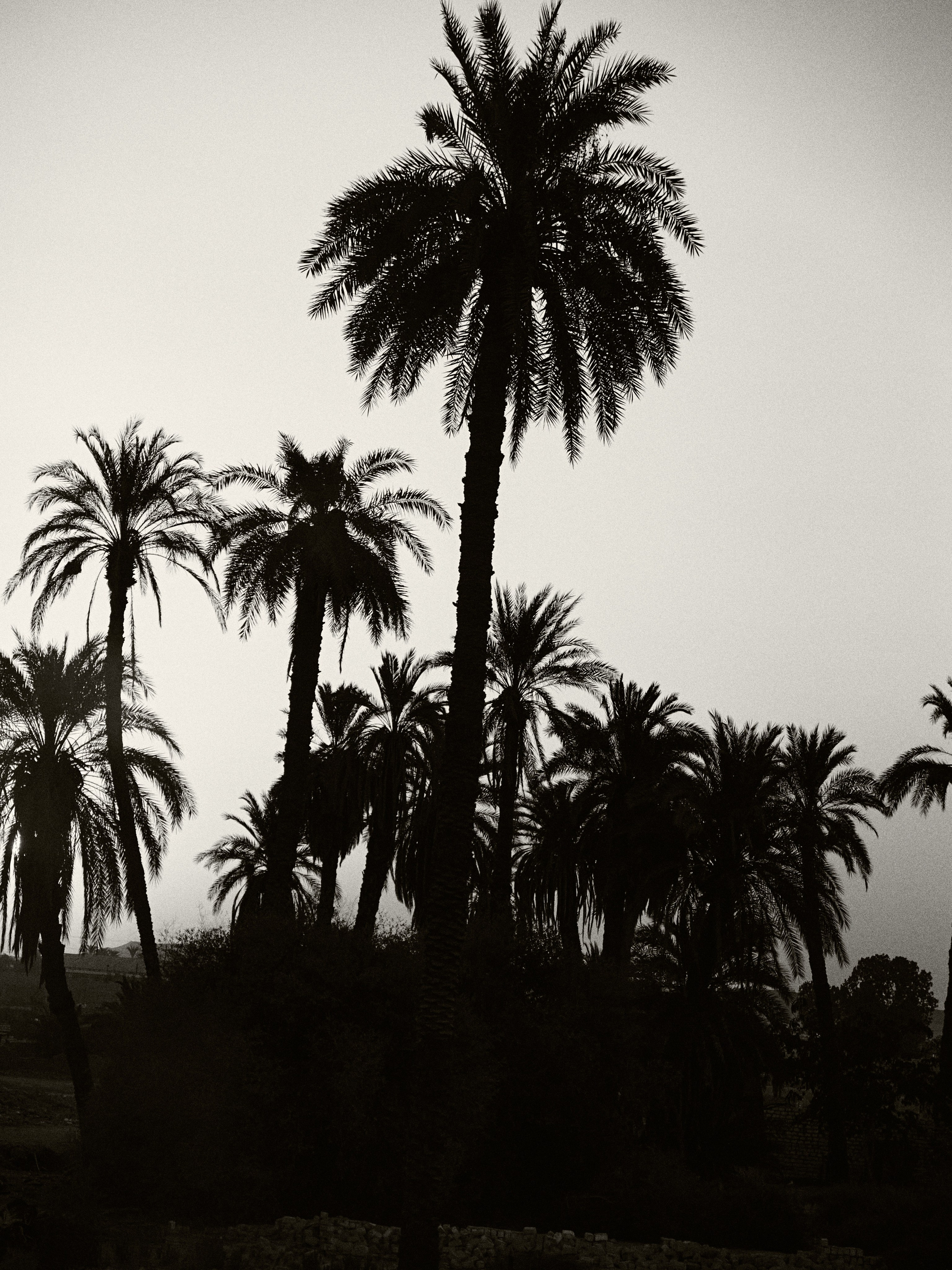 B&W. Jorgis — фотограф в Хургаде / обучение фотографии