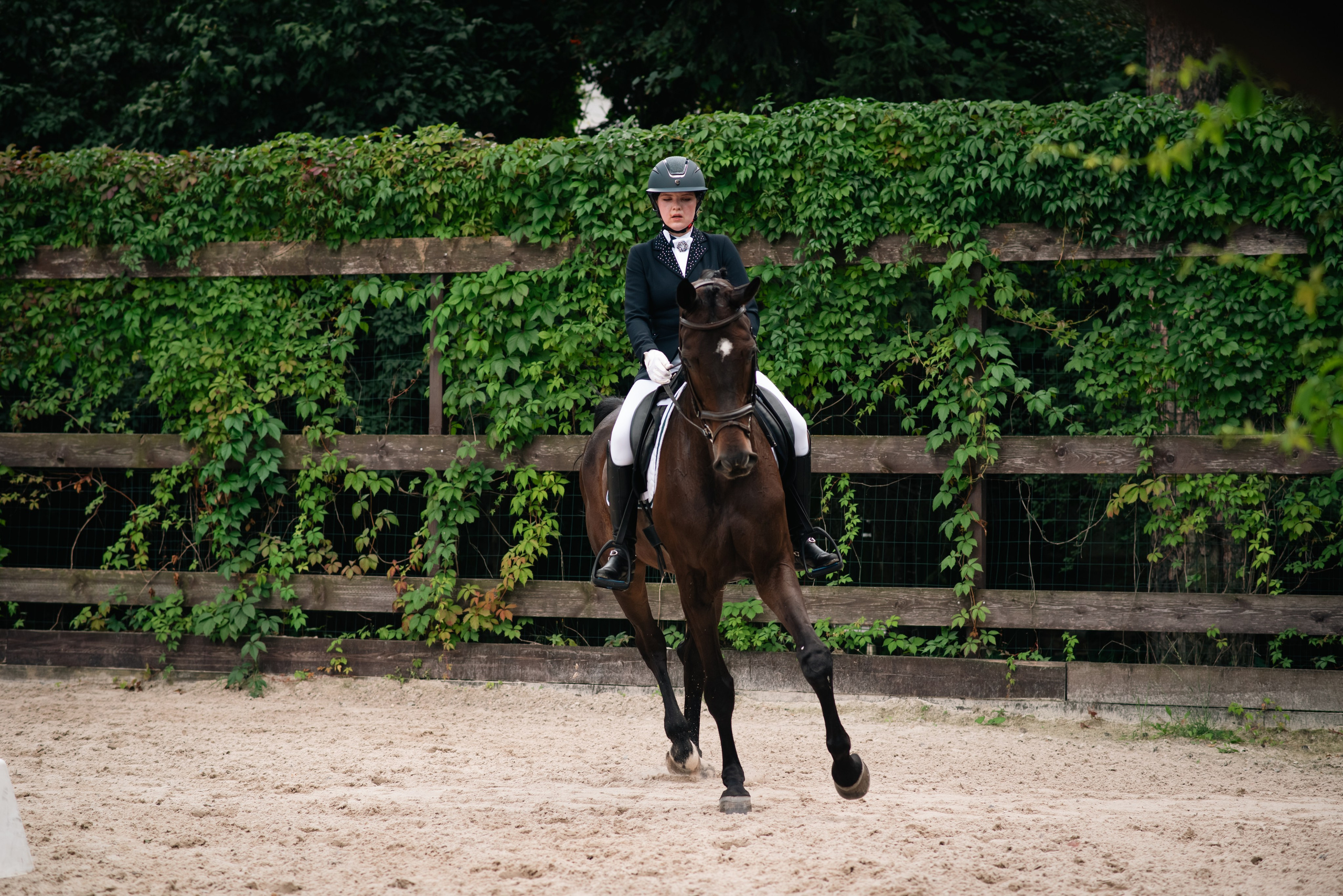 Выездка 10.08.25. Фотограф, визажист. Москва