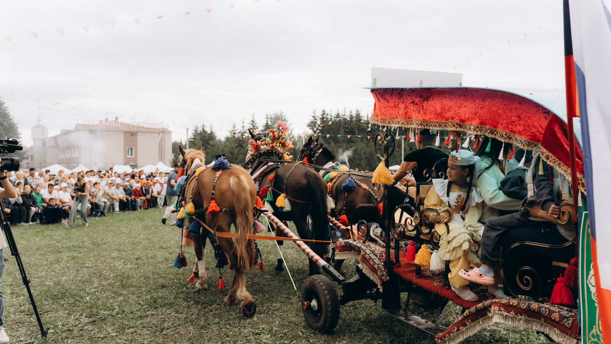 День Коня. Алиса Никитцова | Фотограф в Казани
