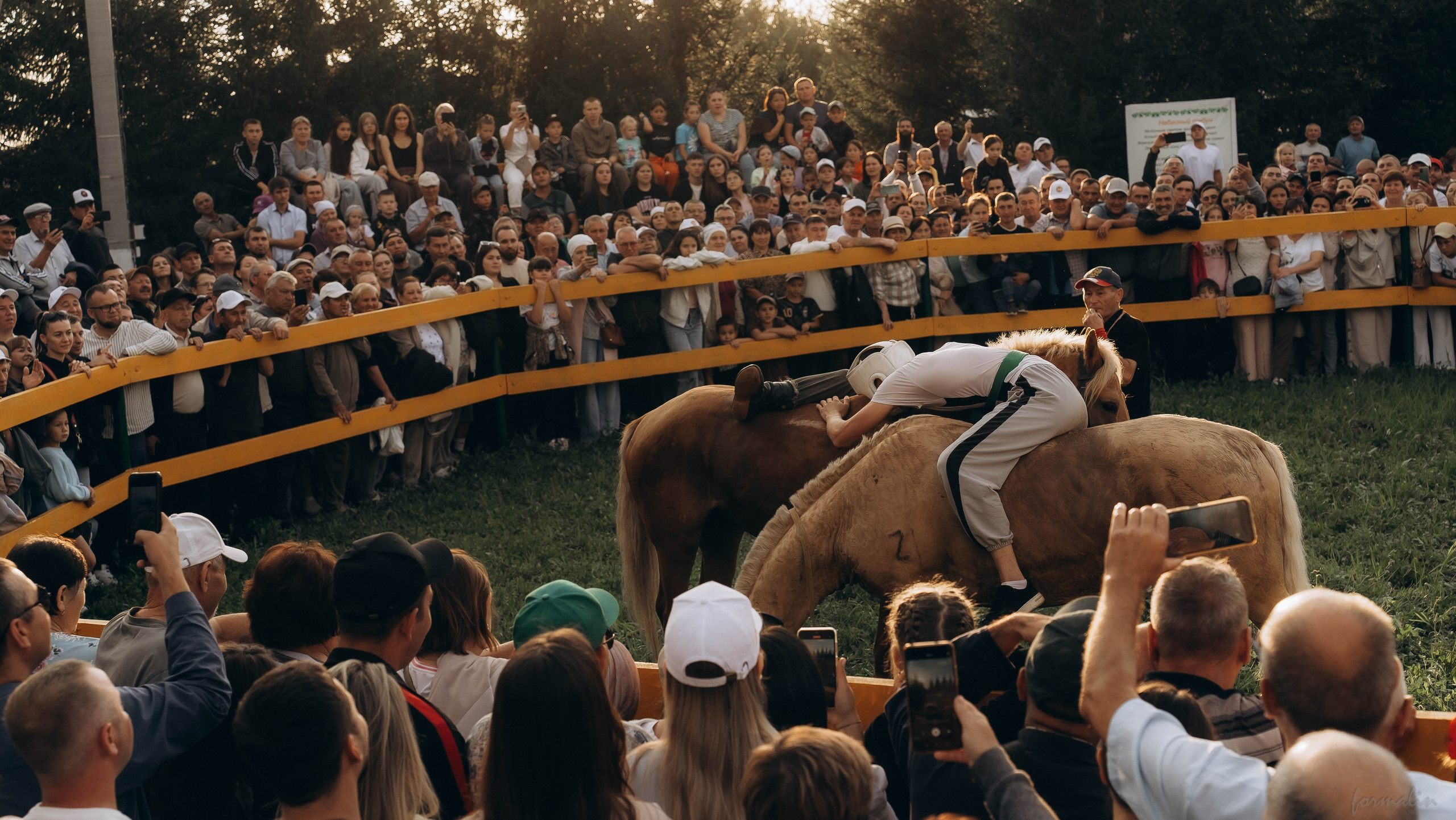 День Коня. Алиса Никитцова | Фотограф в Казани