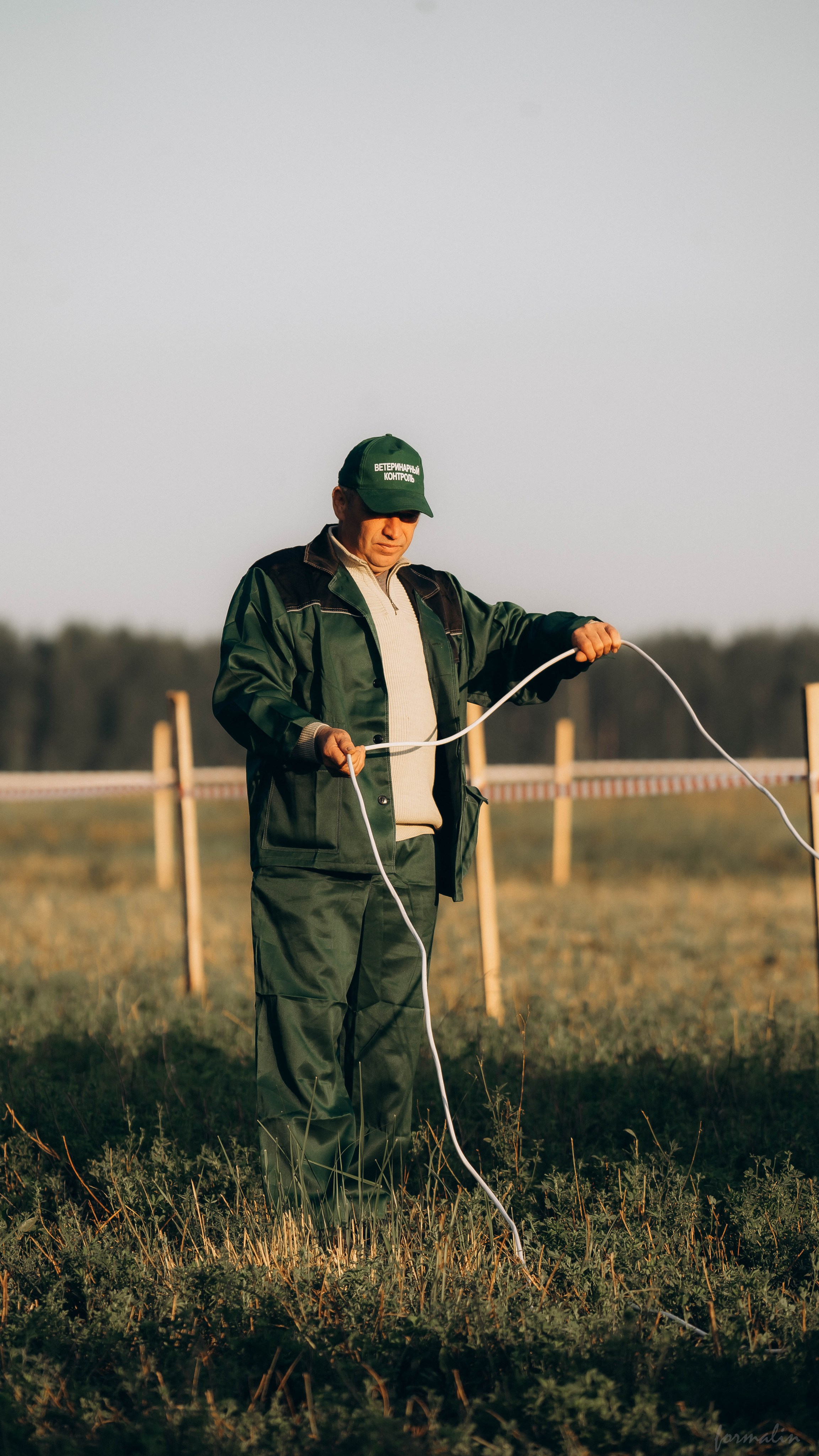 День Коня. Алиса Никитцова | Фотограф в Казани