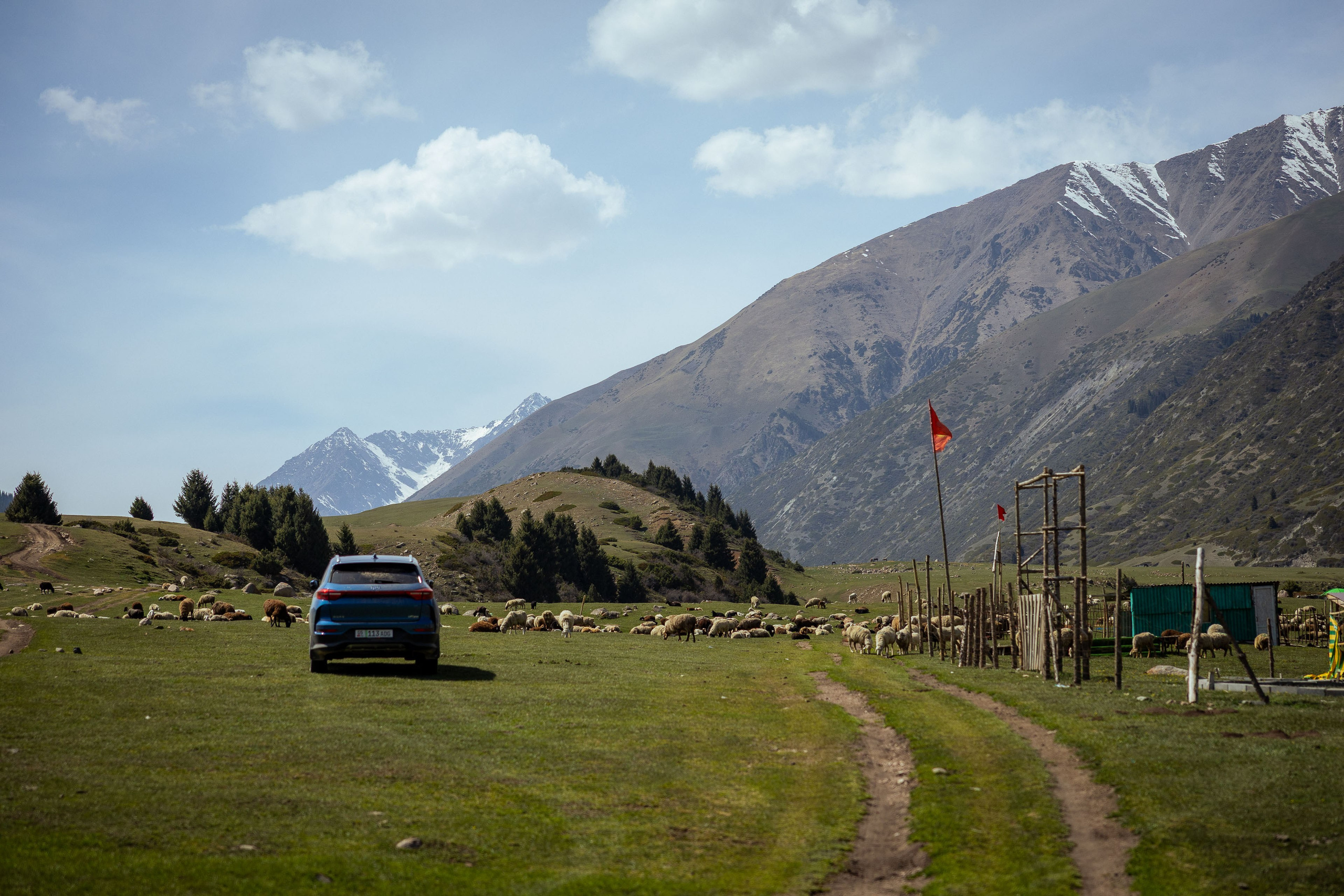 Кыргызстан (весна 2025). Фотограф Виноградов Константин