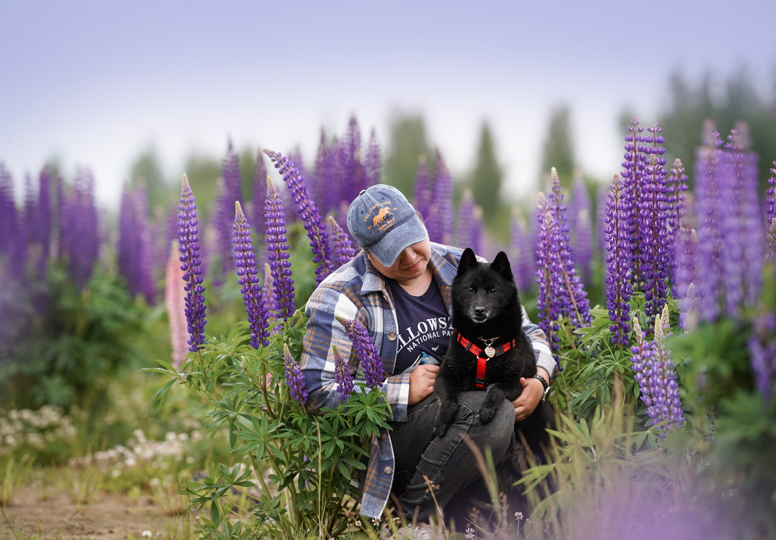 Аня Арчи и Панда в люпинах. Фотограф-анималист в Санкт-Петербурге Яна Мартынова