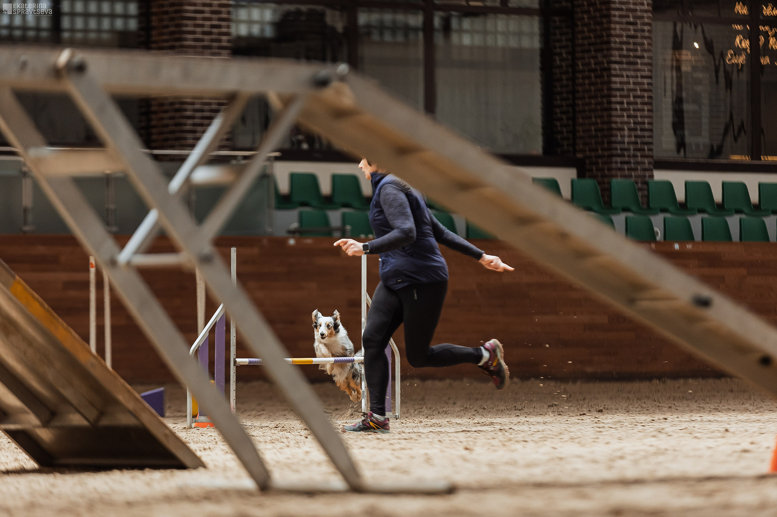ЧРКФ Аджилити в Максима. Фотограф Анималист Екатерина Справцева в Нижнем Новгороде