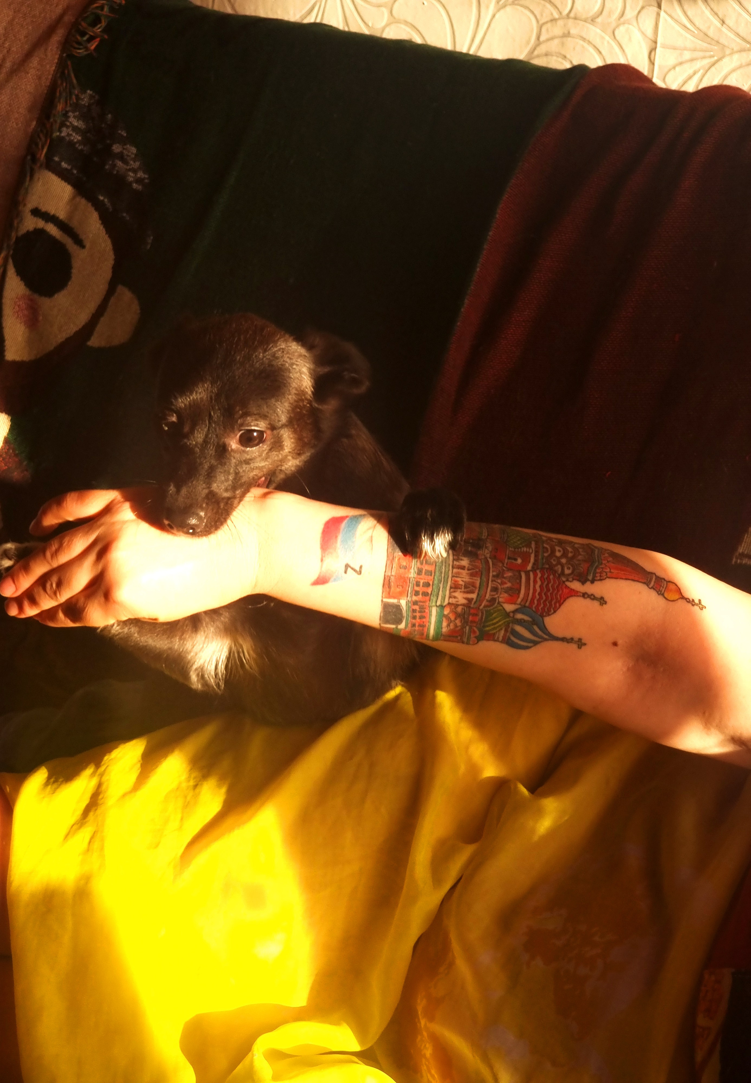 Июль 2025. Den Mirov — Фотограф, Музыкант