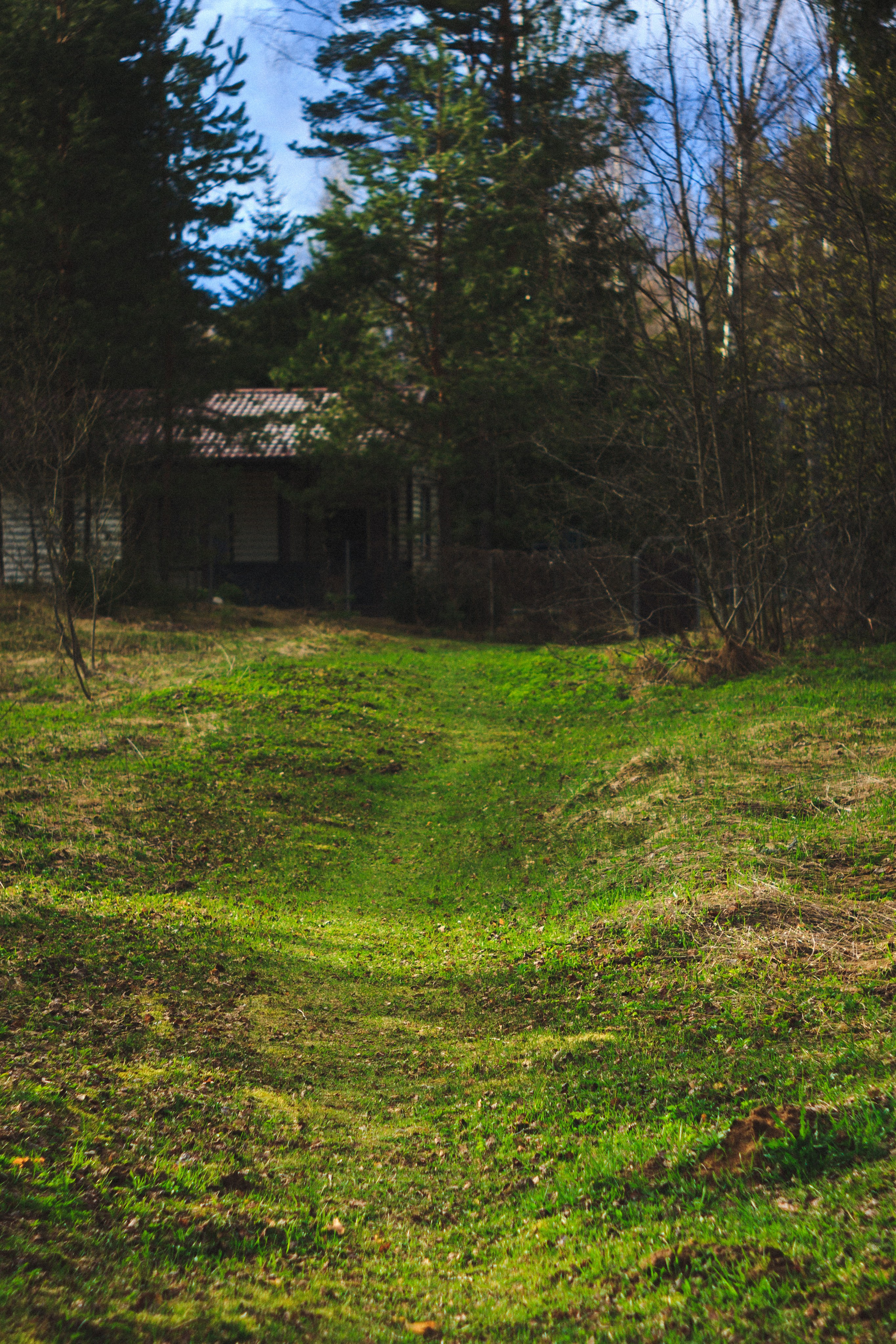 Деревня. Den Mirov — Photographer, Musician