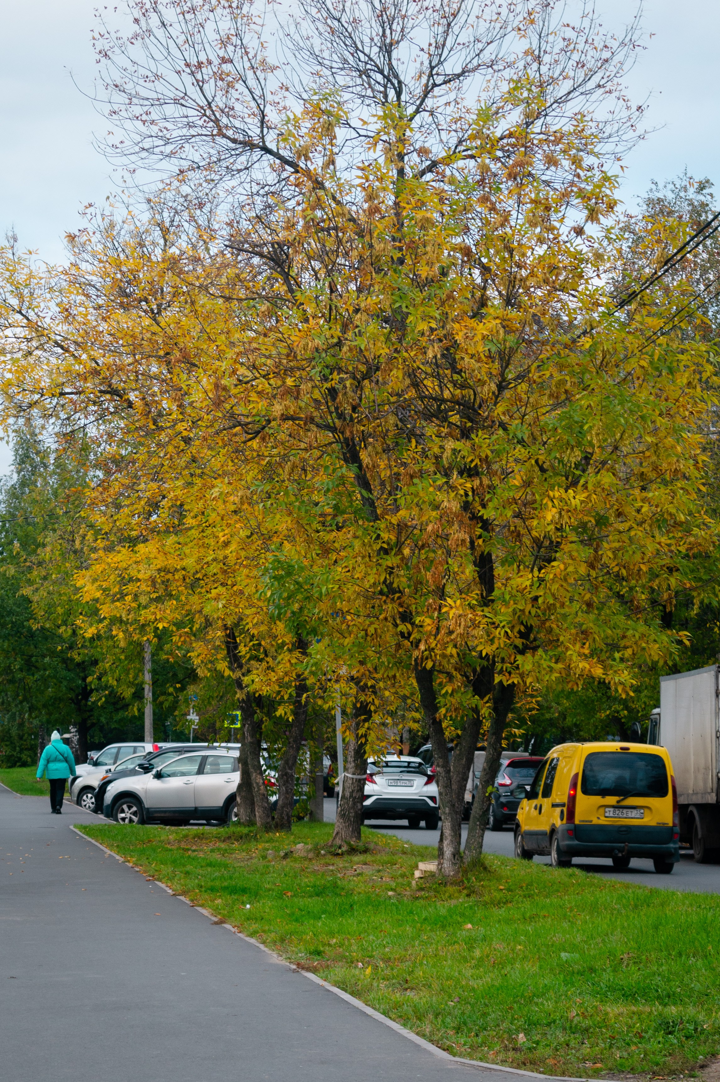 Сентябрь 2025. Den Mirov — Фотограф, Музыкант