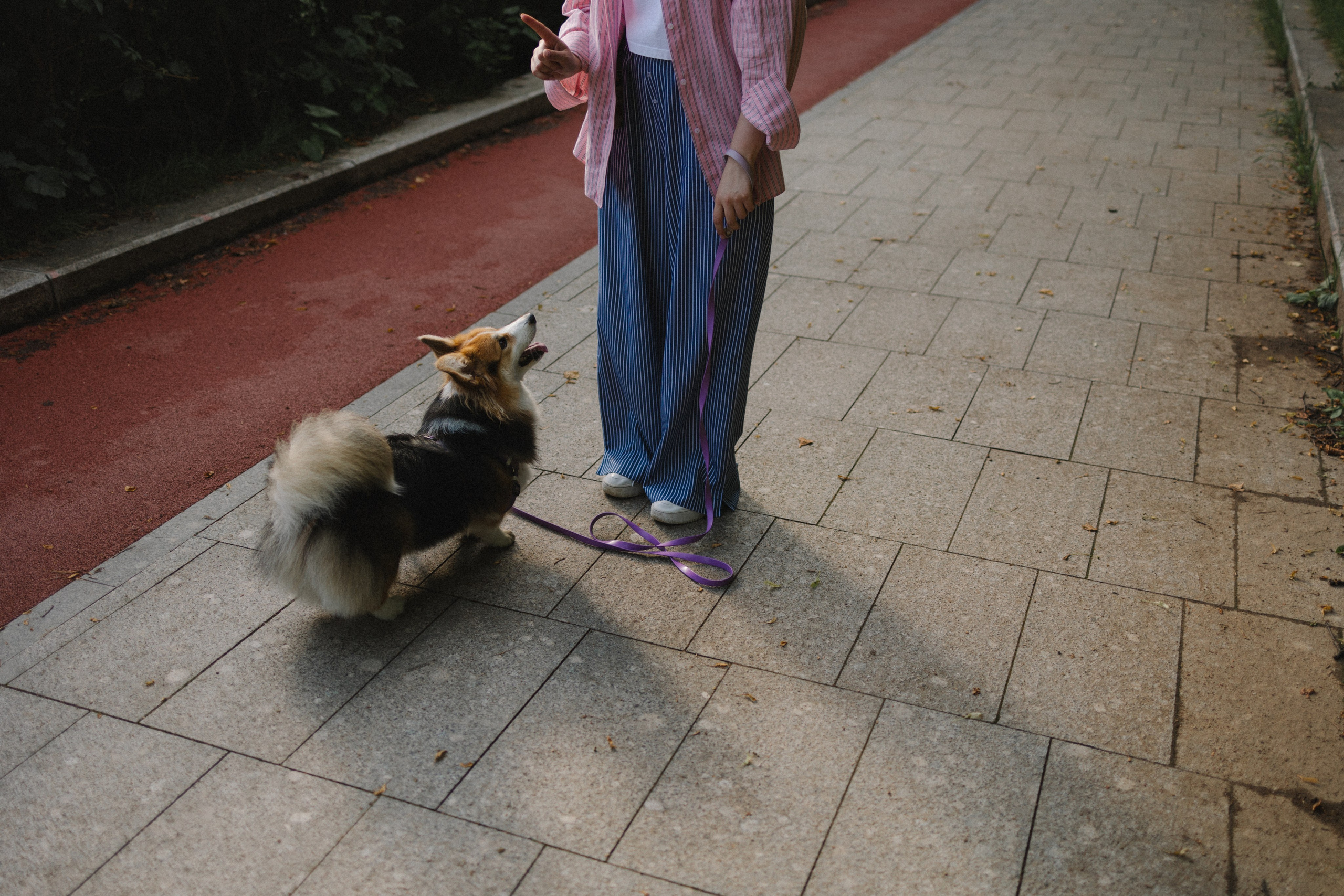 Мишель и Влада. Фотораф — анималист Мария Шистка