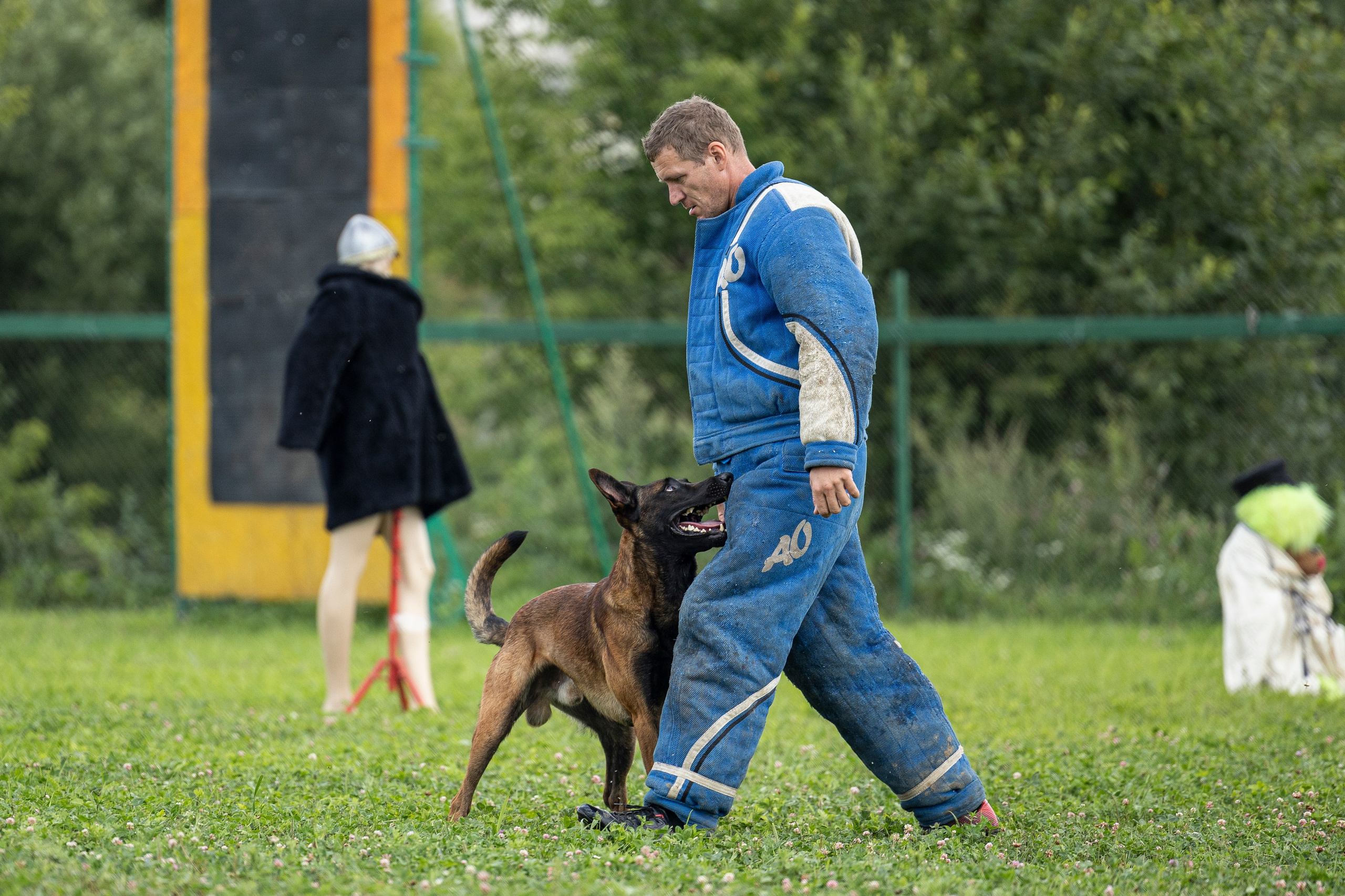 Соревнования по Мондьорингу г. Вологда 10-11.08.2024. Фотограф-анималист Анна Маринич
