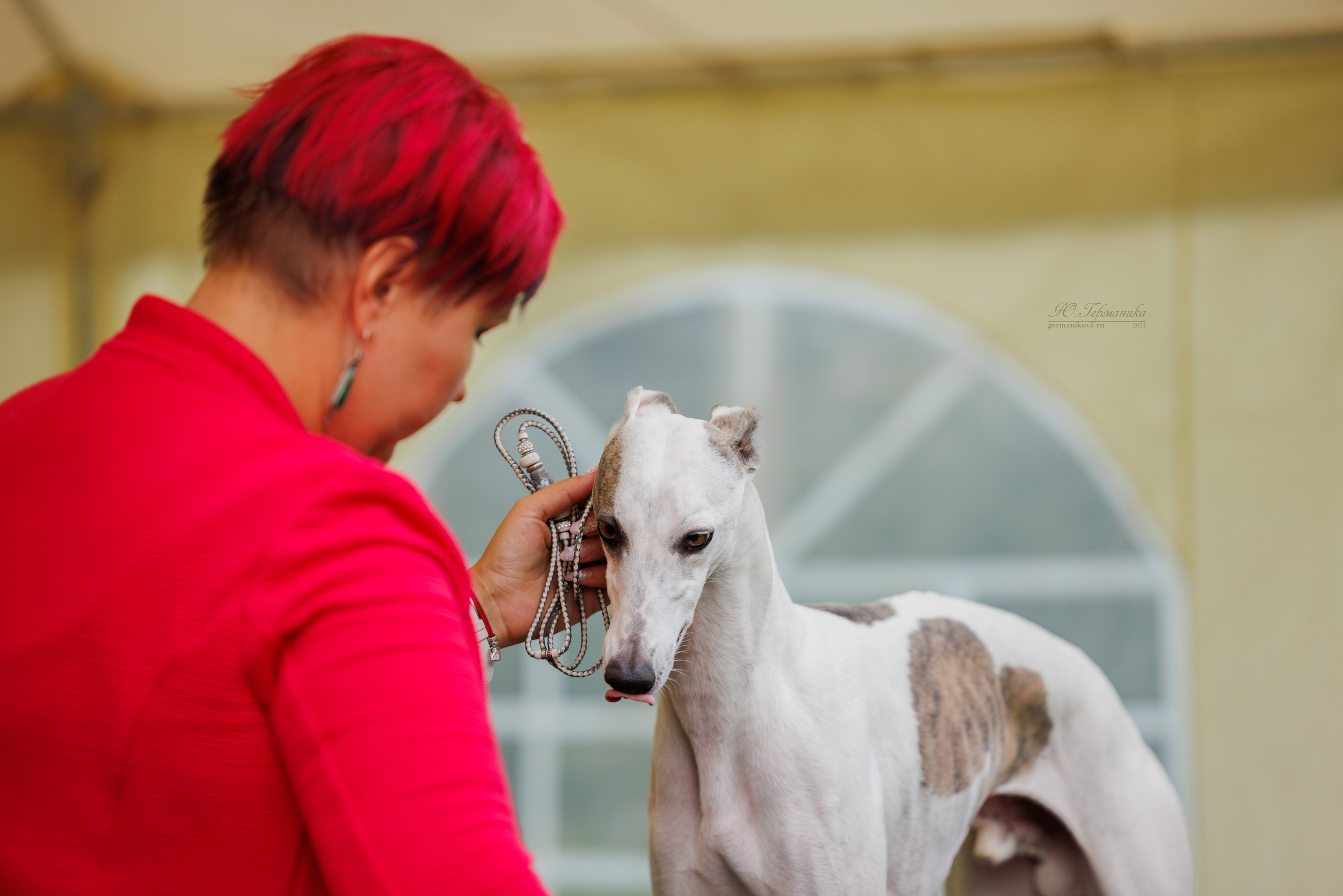 Астана 2хCACIB 17-18.08.2024. Фотограф-анималист Юлия Германика