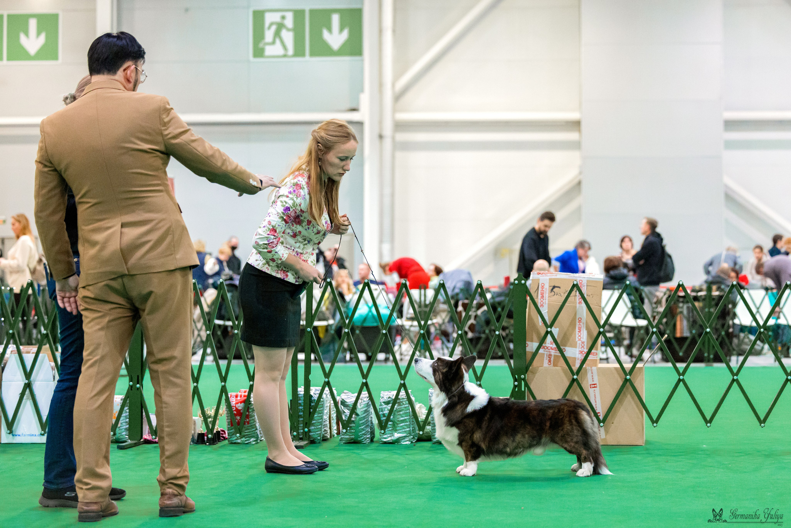 Сфера 29.10,Крокус 4.11,Сфера 12.11.2023. Фотограф-анималист Юлия Германика