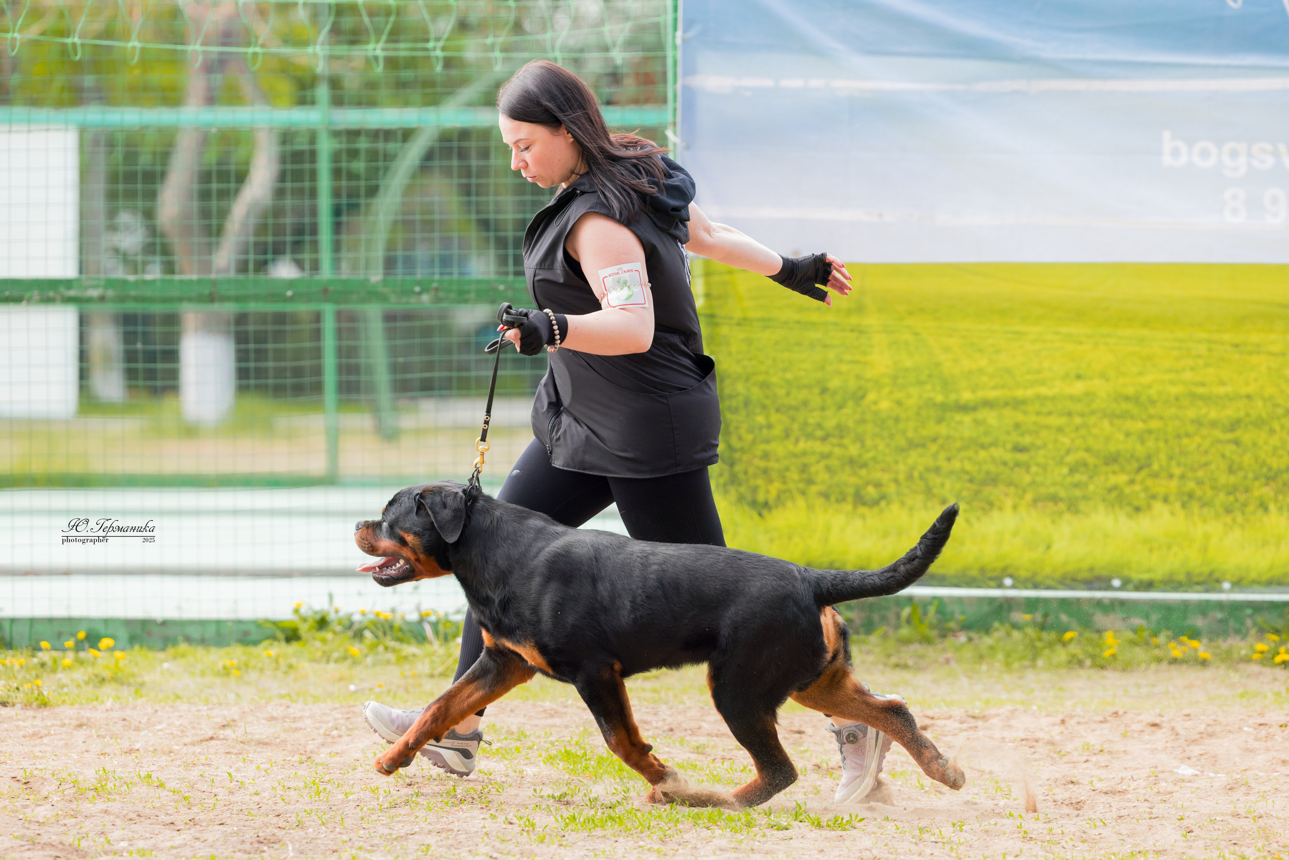 Саратов моно ротвейлеров 26-27.04.2025. Фотограф-анималист Юлия Германика