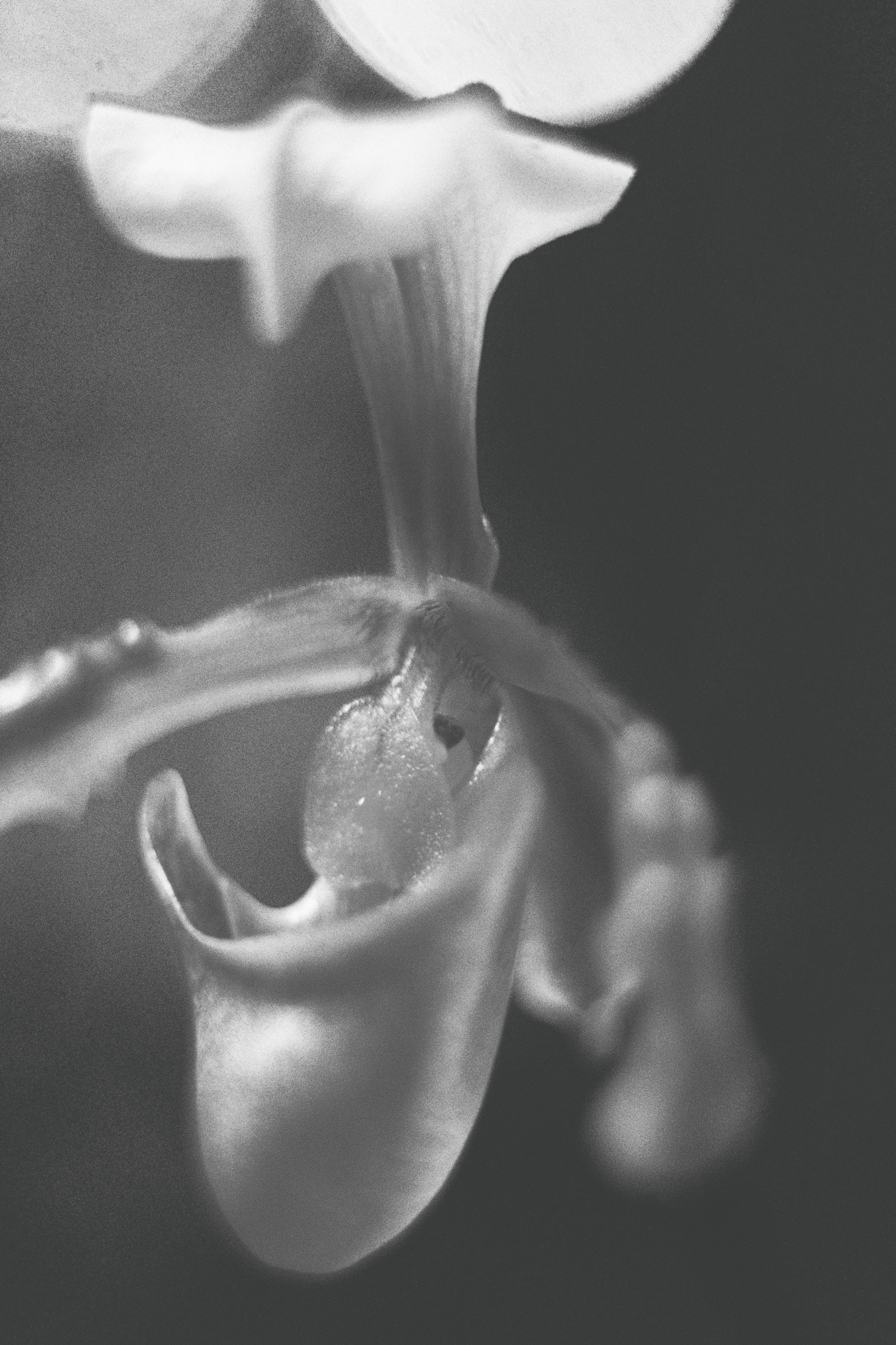 Film dairy. ㅤ