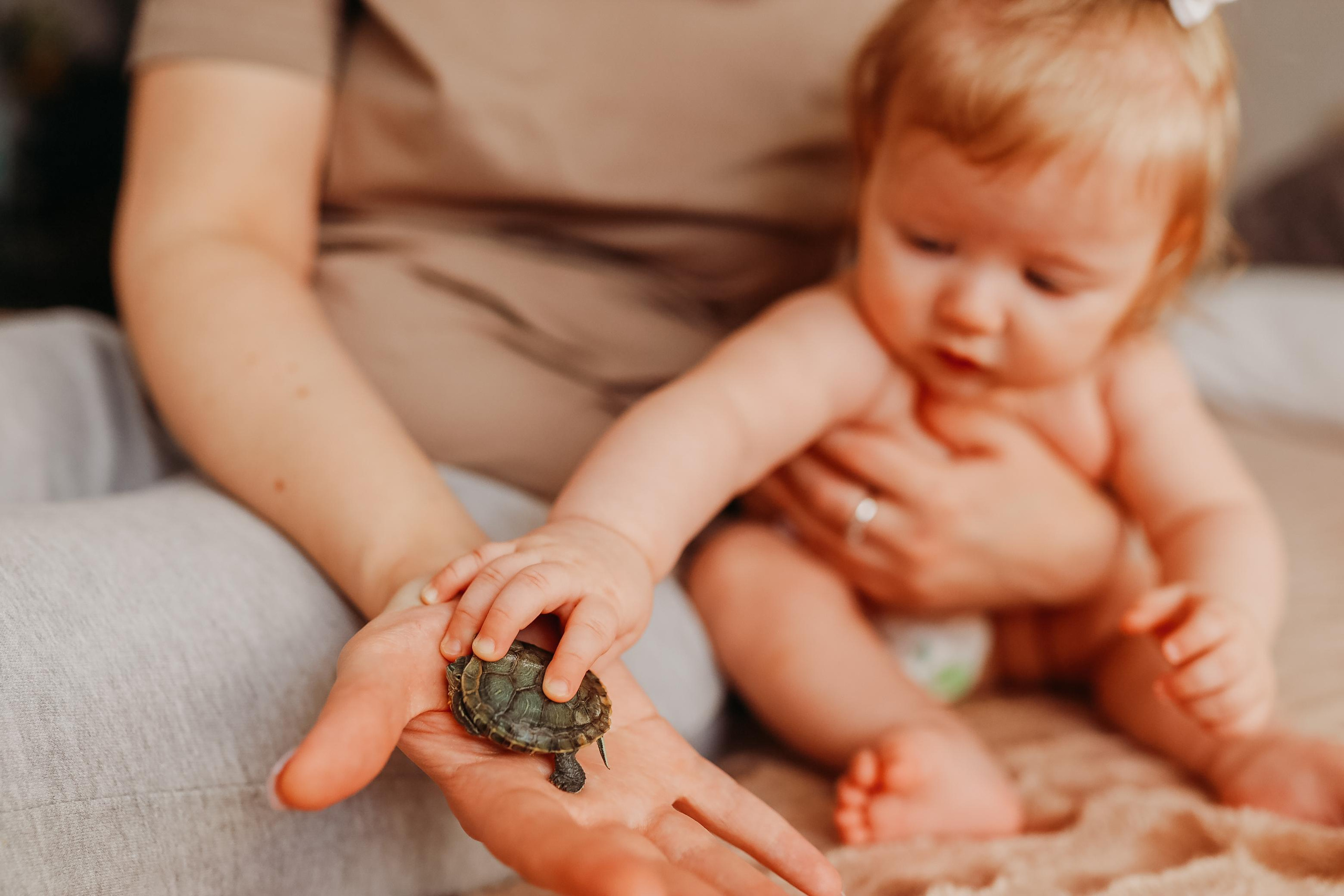 Домашние фотосессии. Доула. Курс подготовки к родам. Перинатльный фотограф г. Оренбург