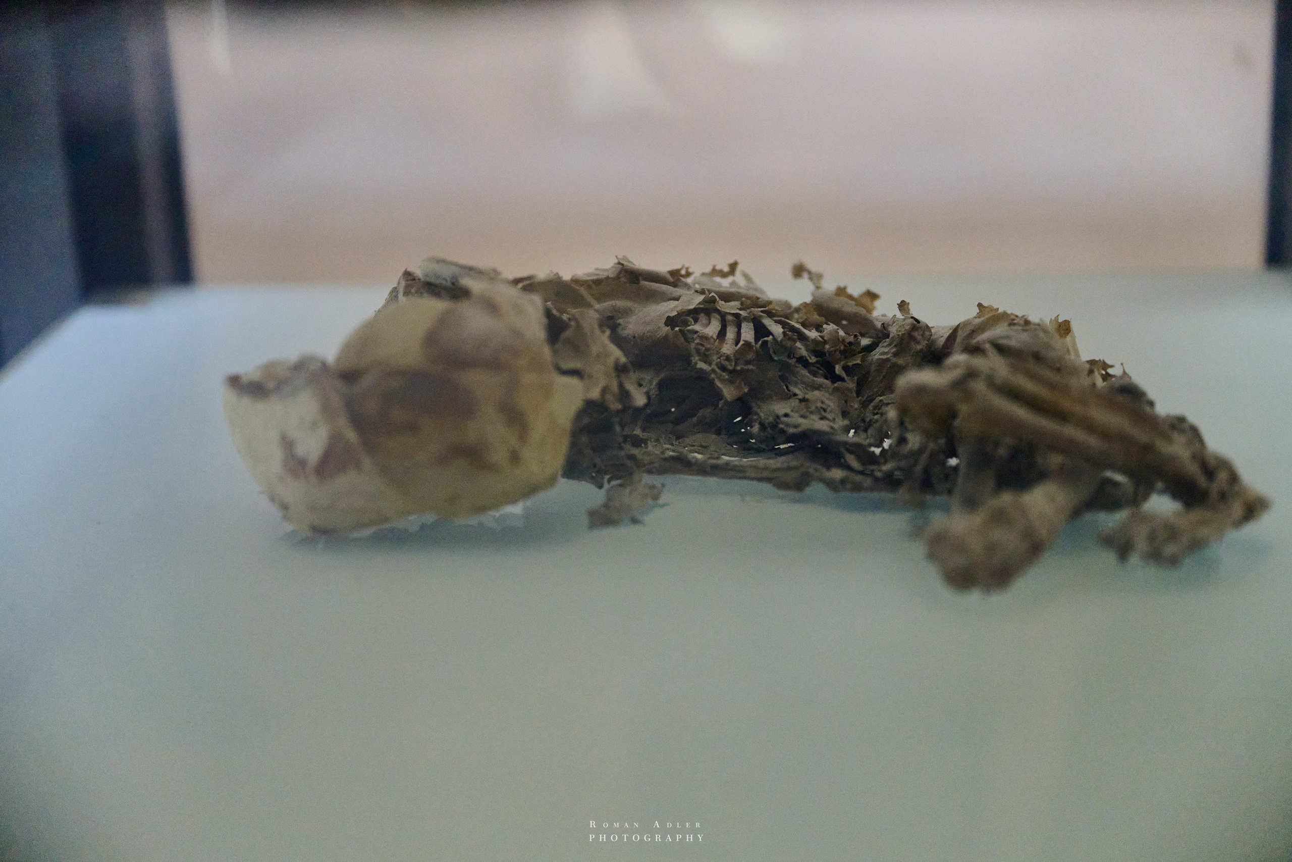 Луксор. Февраль 2025. Фотограф Роман Адлер