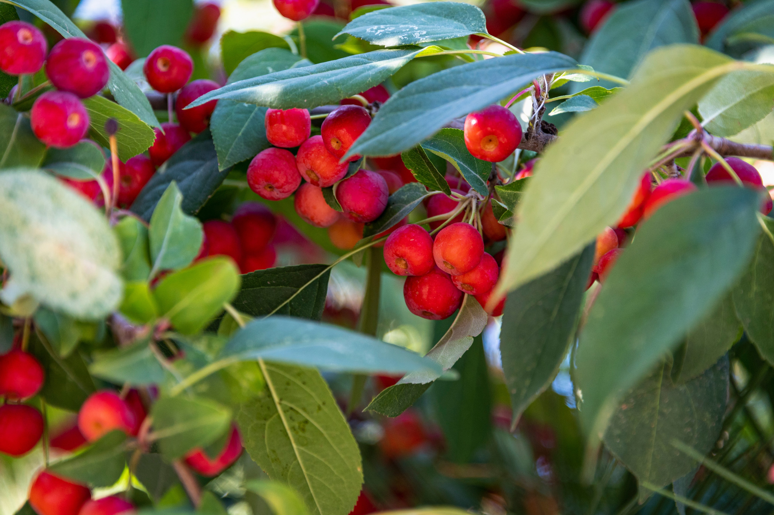 Волгоград. Сентябрь 2023. Фотограф Роман Адлер