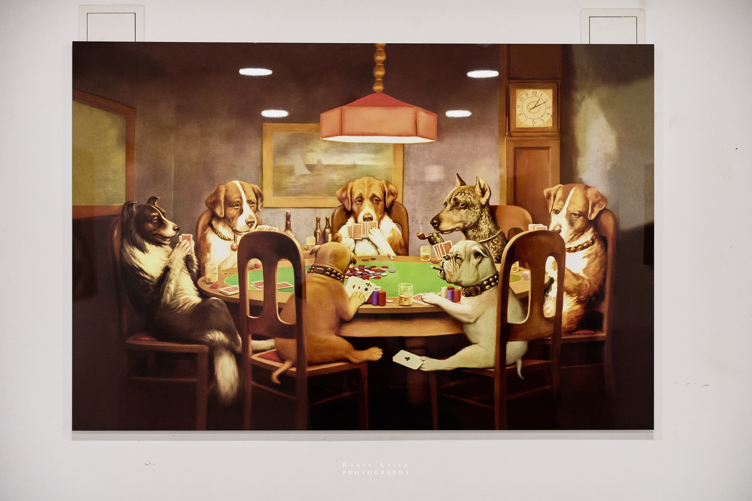 «Летние хроники» в международной галерее Redgallery. Фотограф Роман Адлер