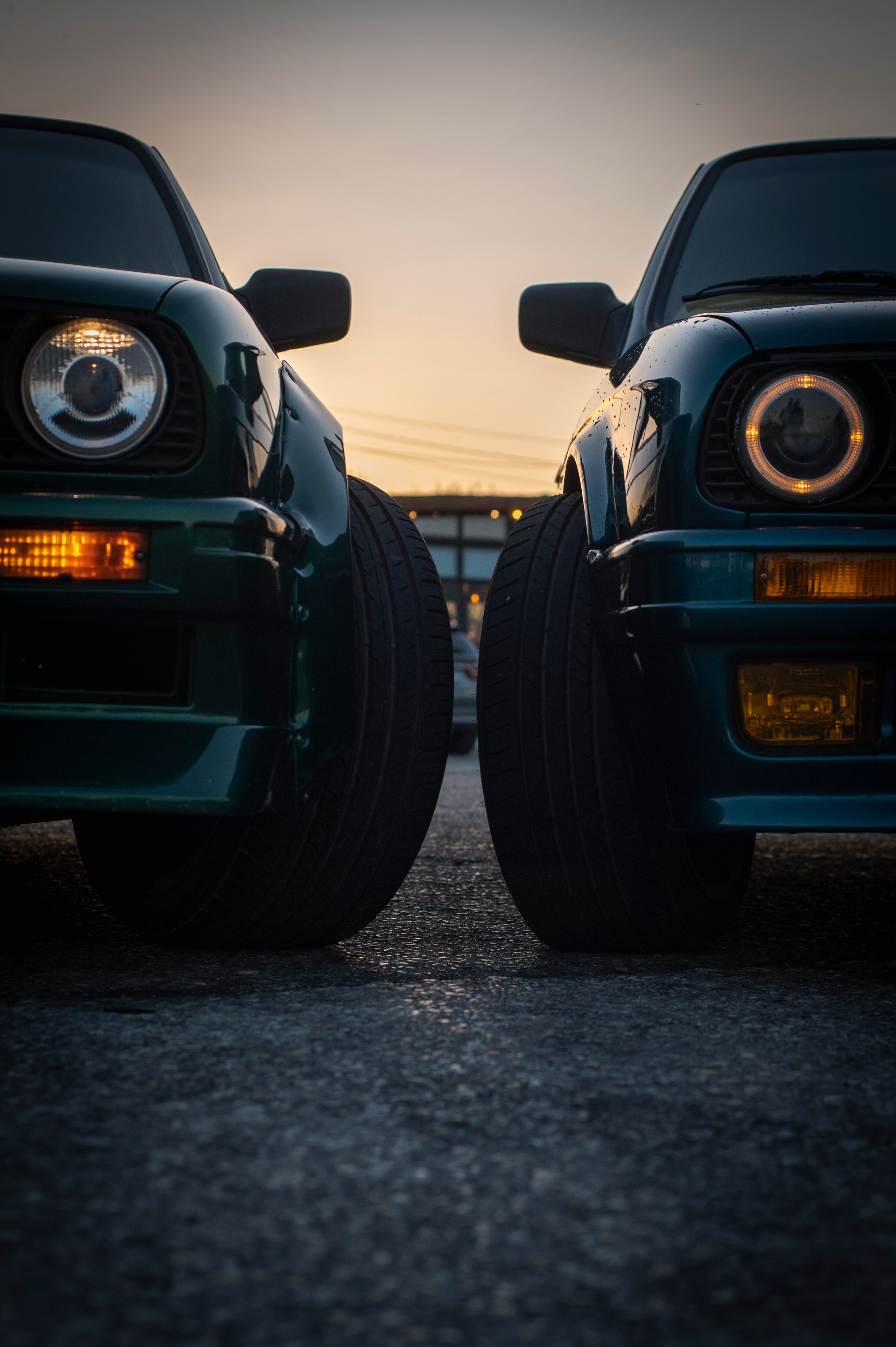 БМВ & Доберман. Фотограф Роман Адлер