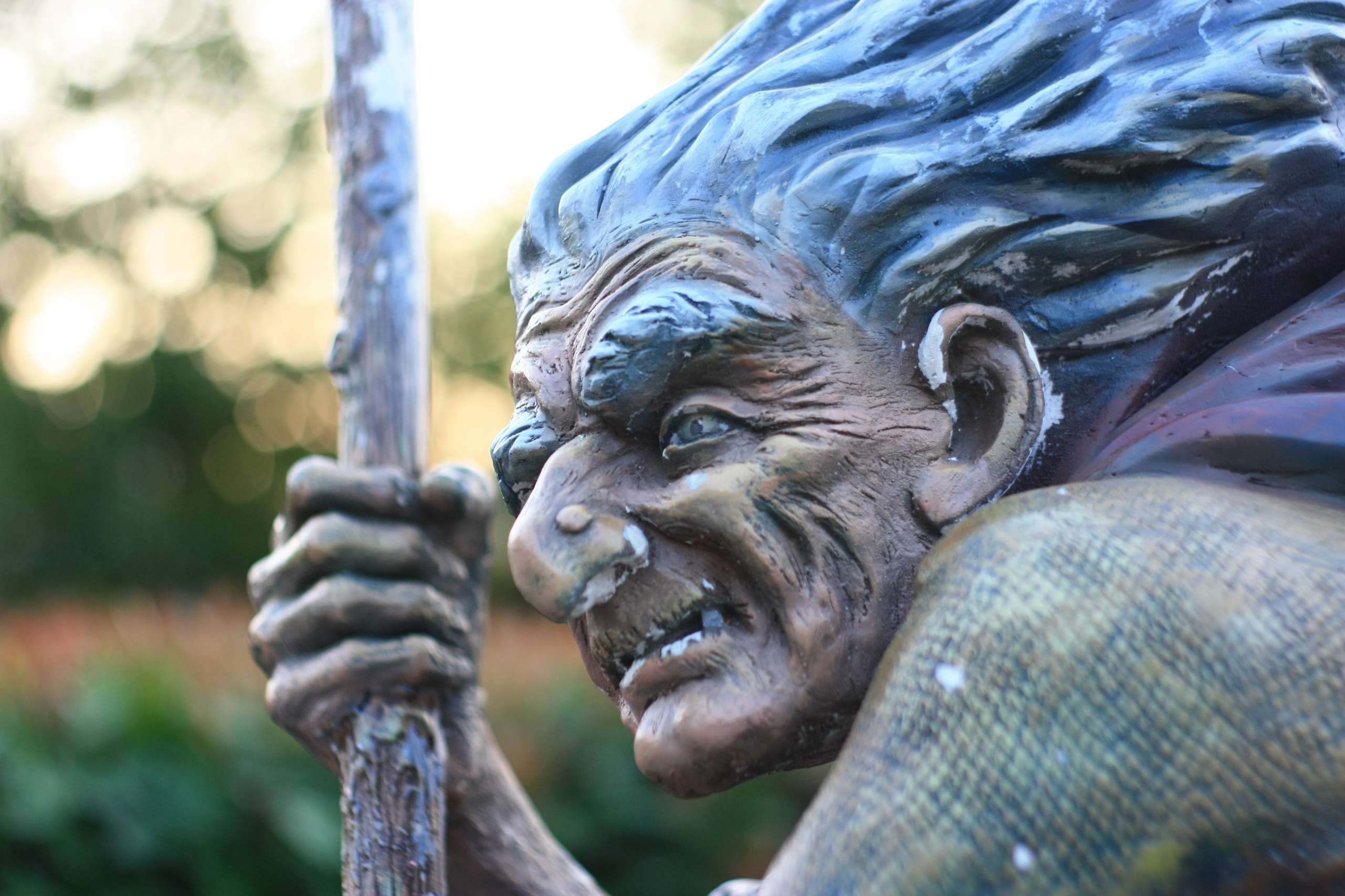 Первые кадры. Сочи — парк. Фотограф Роман Адлер