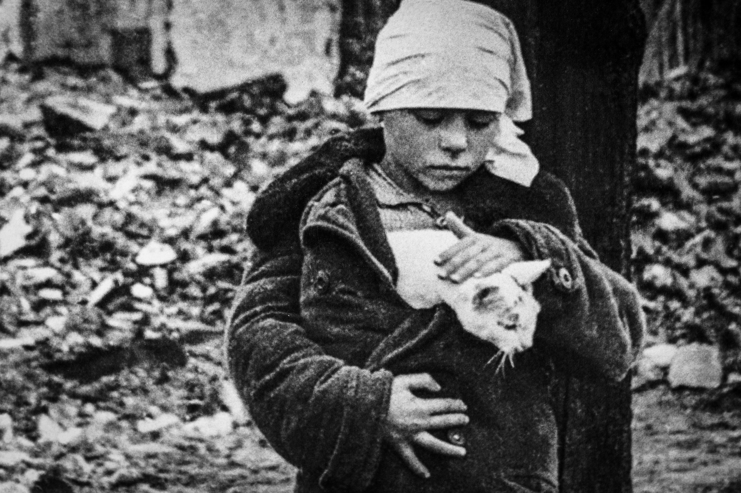 Волгоград. Сентябрь 2023. Фотограф Роман Адлер