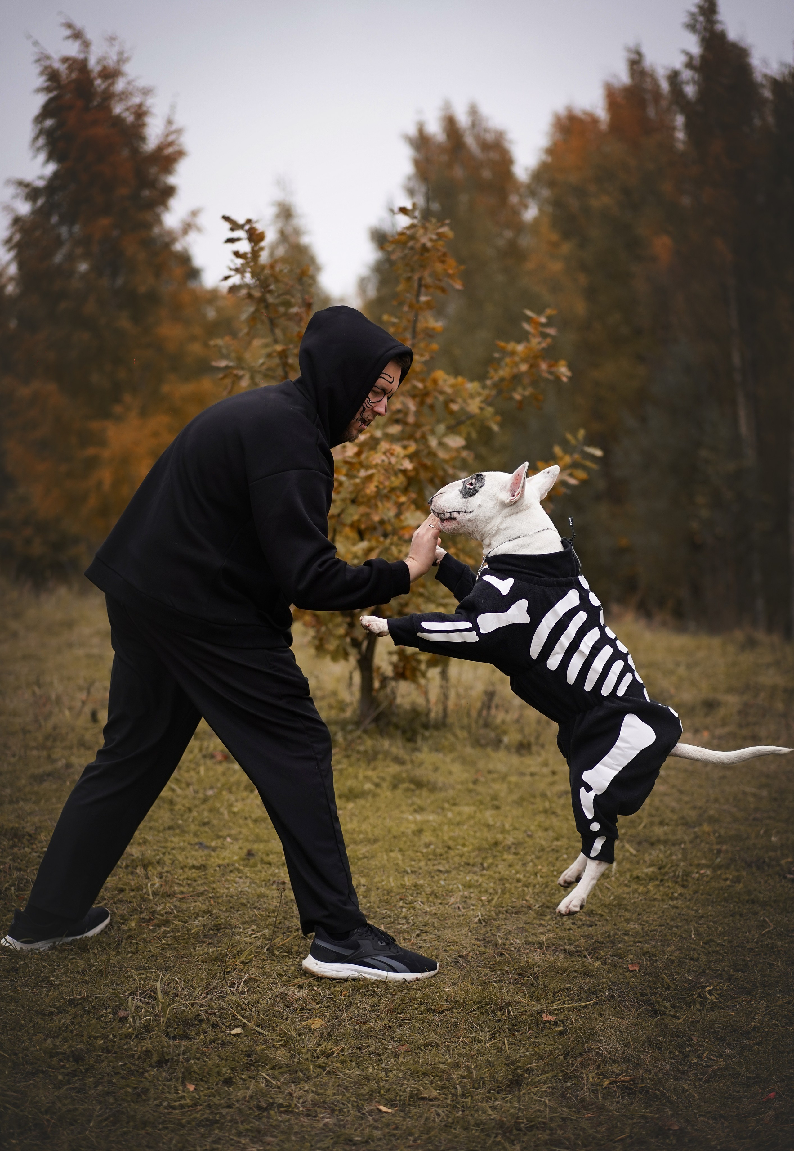 Настя Рома и Сахар Хелоуин. Фотограф-анималист в Санкт-Петербурге Яна Мартынова