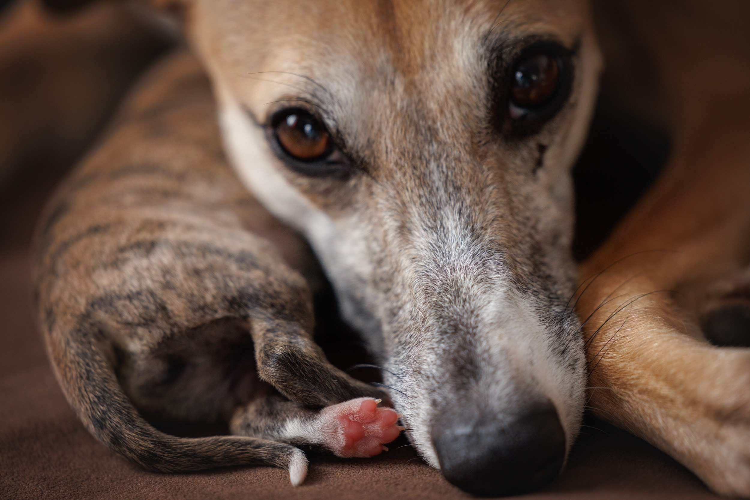 Отзывы. Фотограф Анастасия Ветковская, Москва