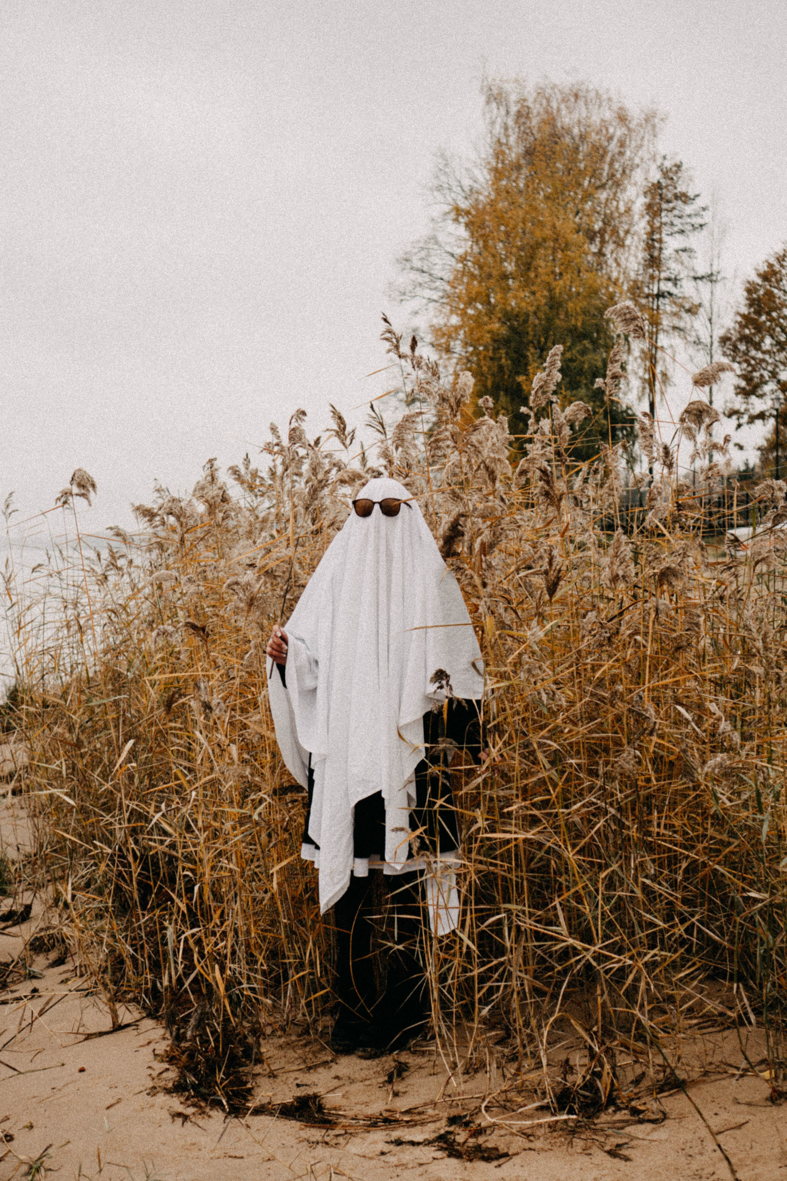 Осеняя. Профессиональный фотограф, Санкт-Петербург — Виктория Богомолова