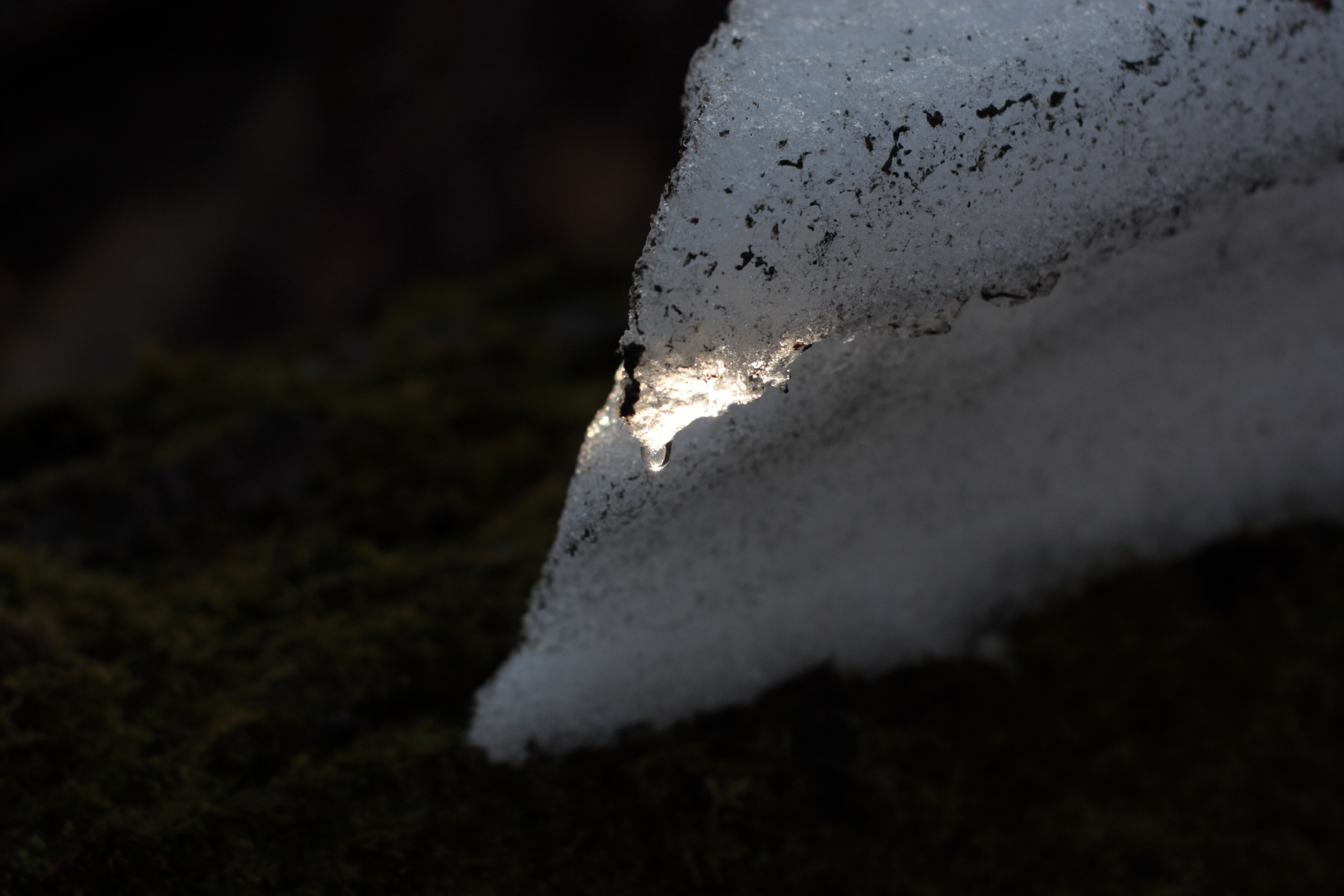 Старое природное, отбирала Katamount (Катерина Горохова). Главная