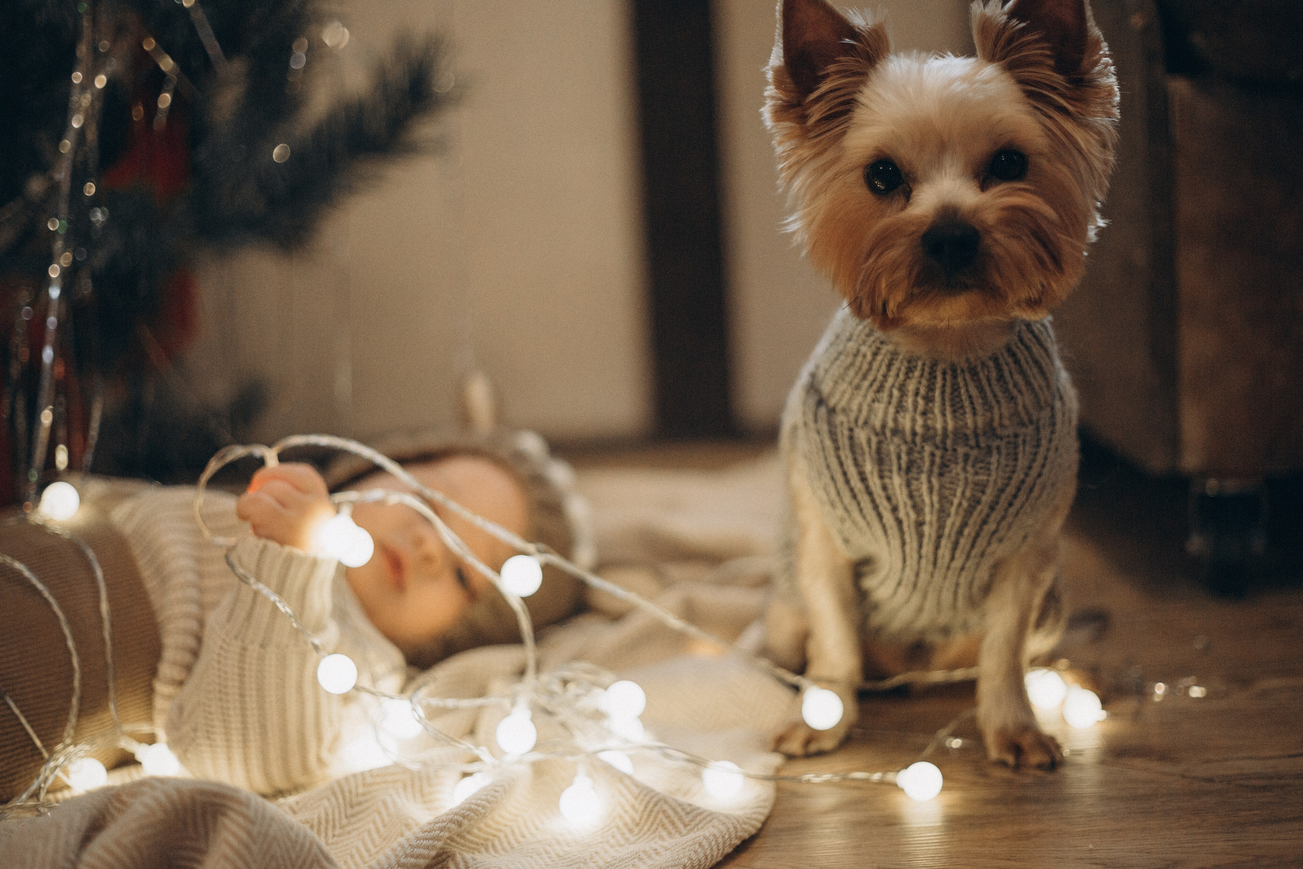 Семья. Семейный фотограф в Нижнем Новгороде