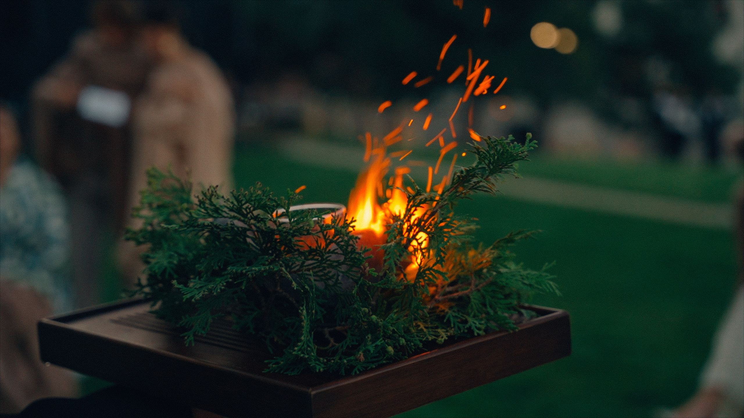 Аркея. Свадебный Видеограф Фотограф в Сочи