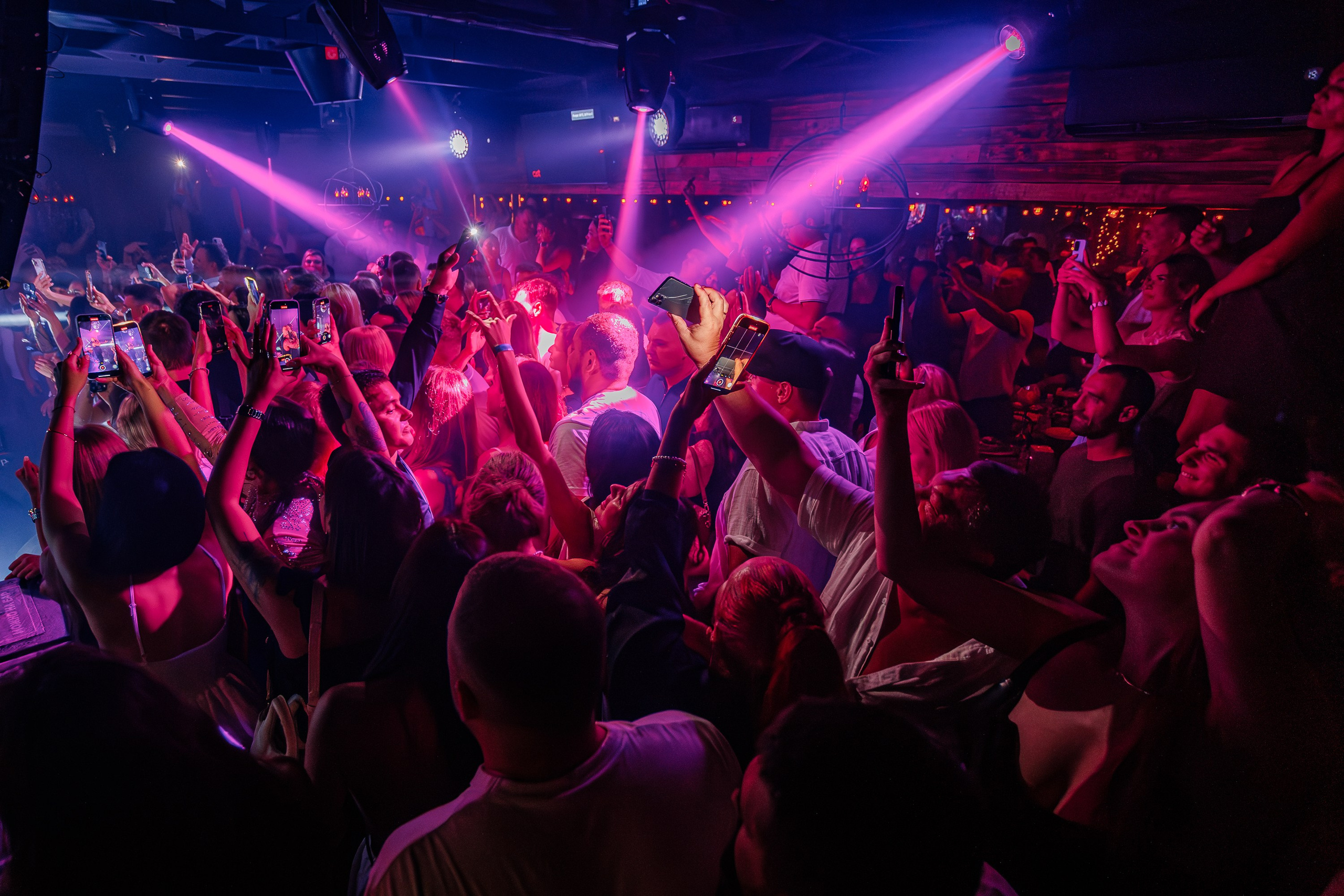 «Джиган"_Чайка на пляже_Ялта_12.07.2025 г. Аминов Руслан | Фотограф