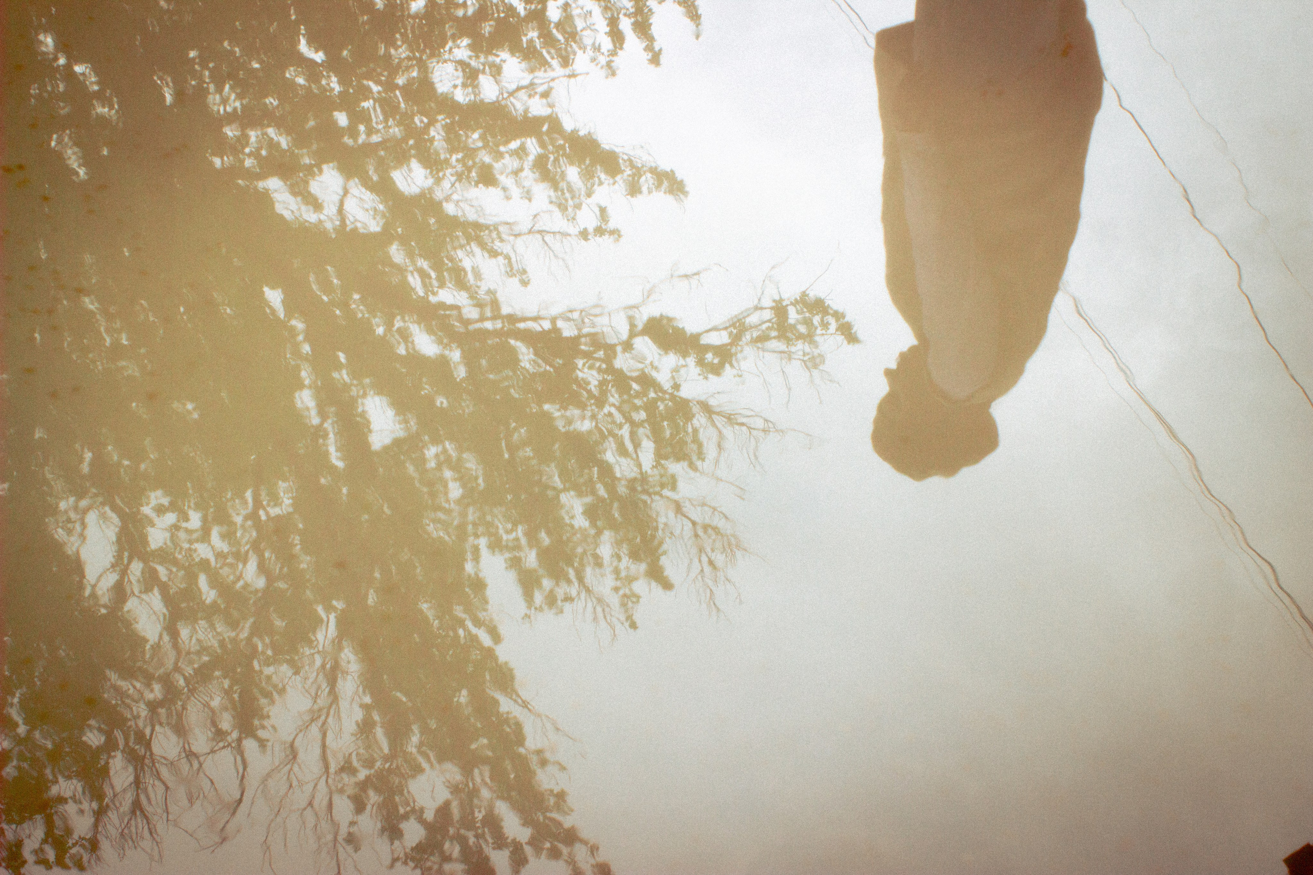 После зимы всегда наступает весна. • Фотограф Александра Светозар Алчевск •