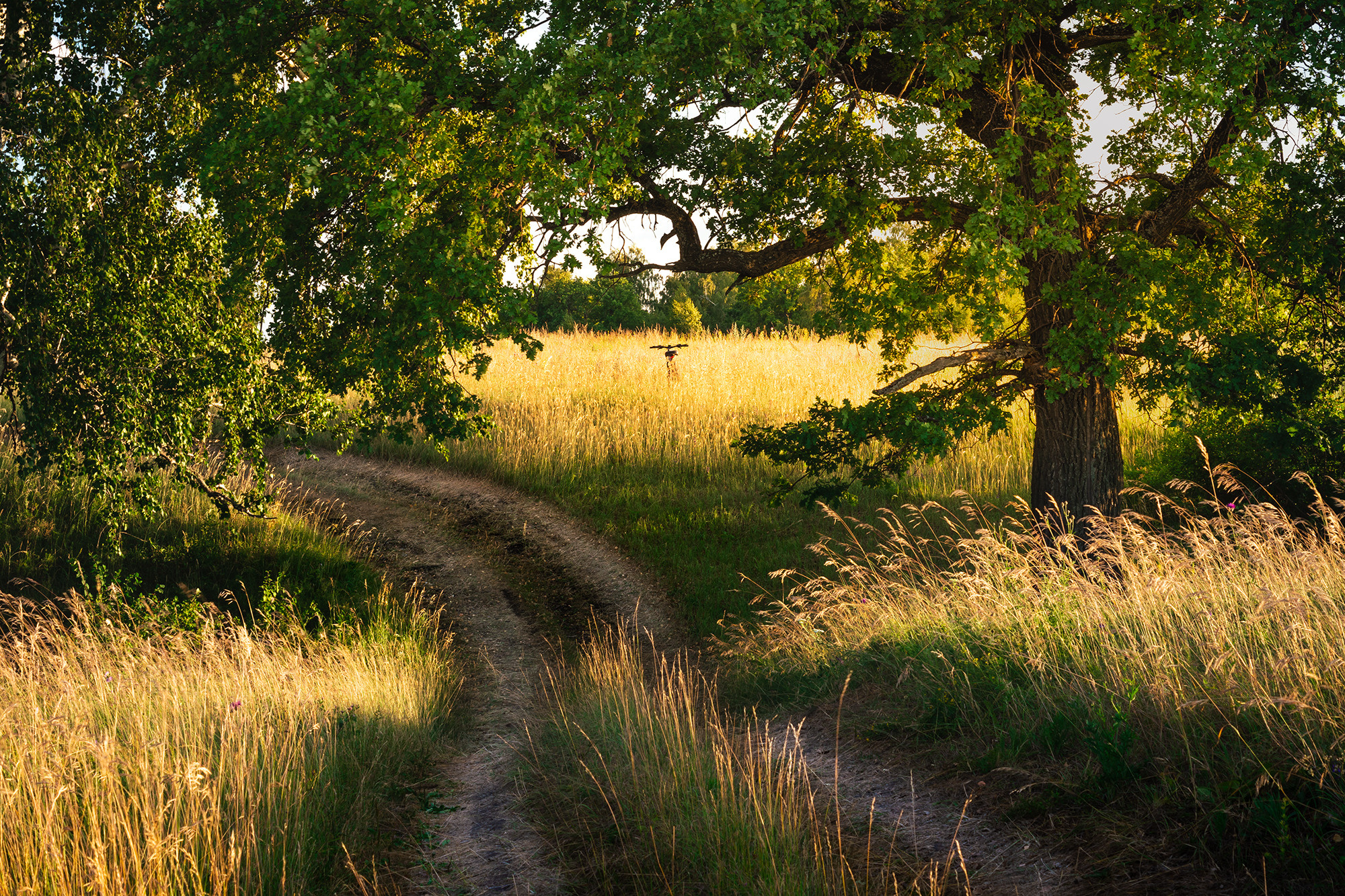 деревня Давлетово Альшеевский район Башкортостан