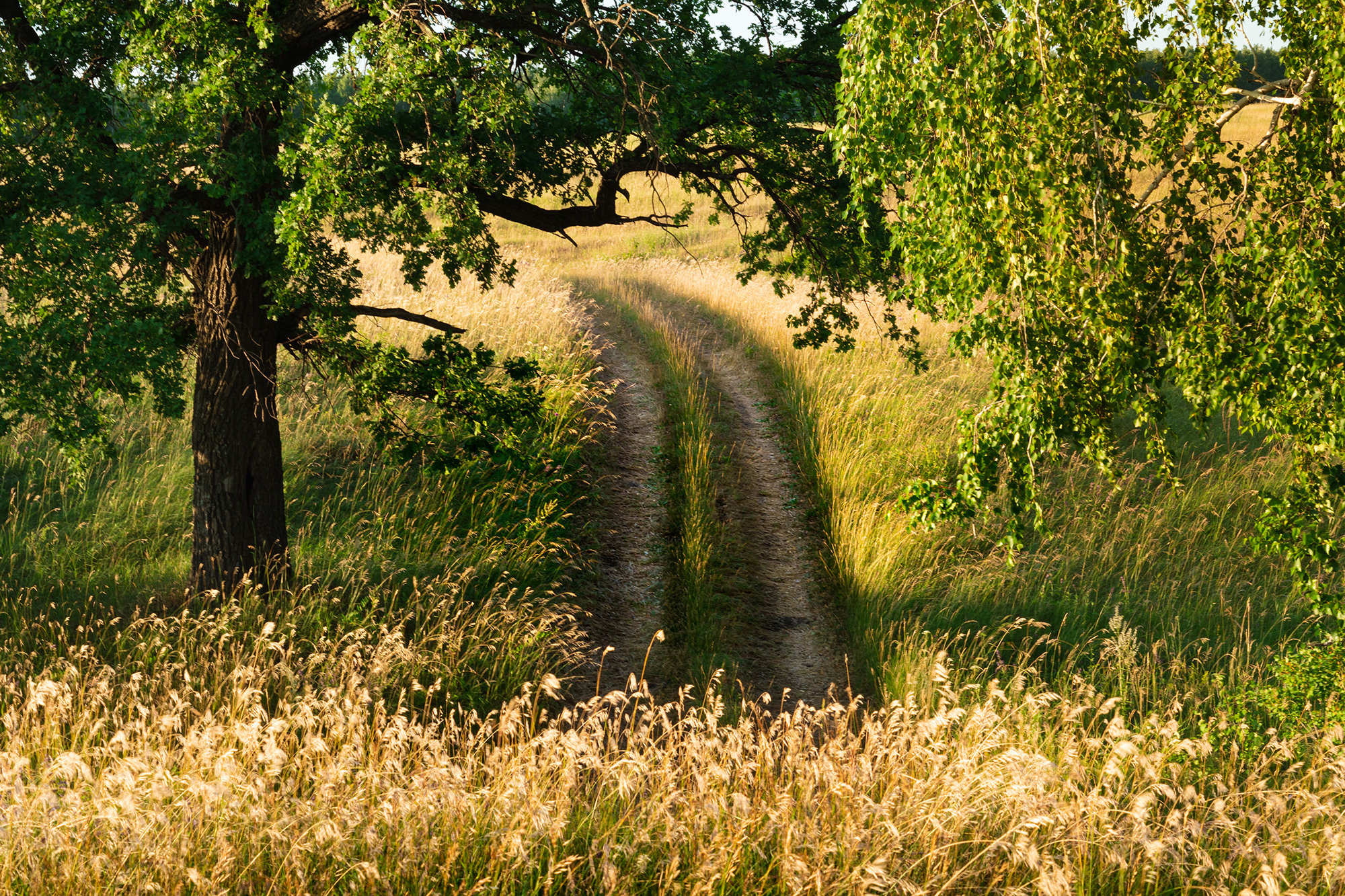 Давлетово, Альшеевский район