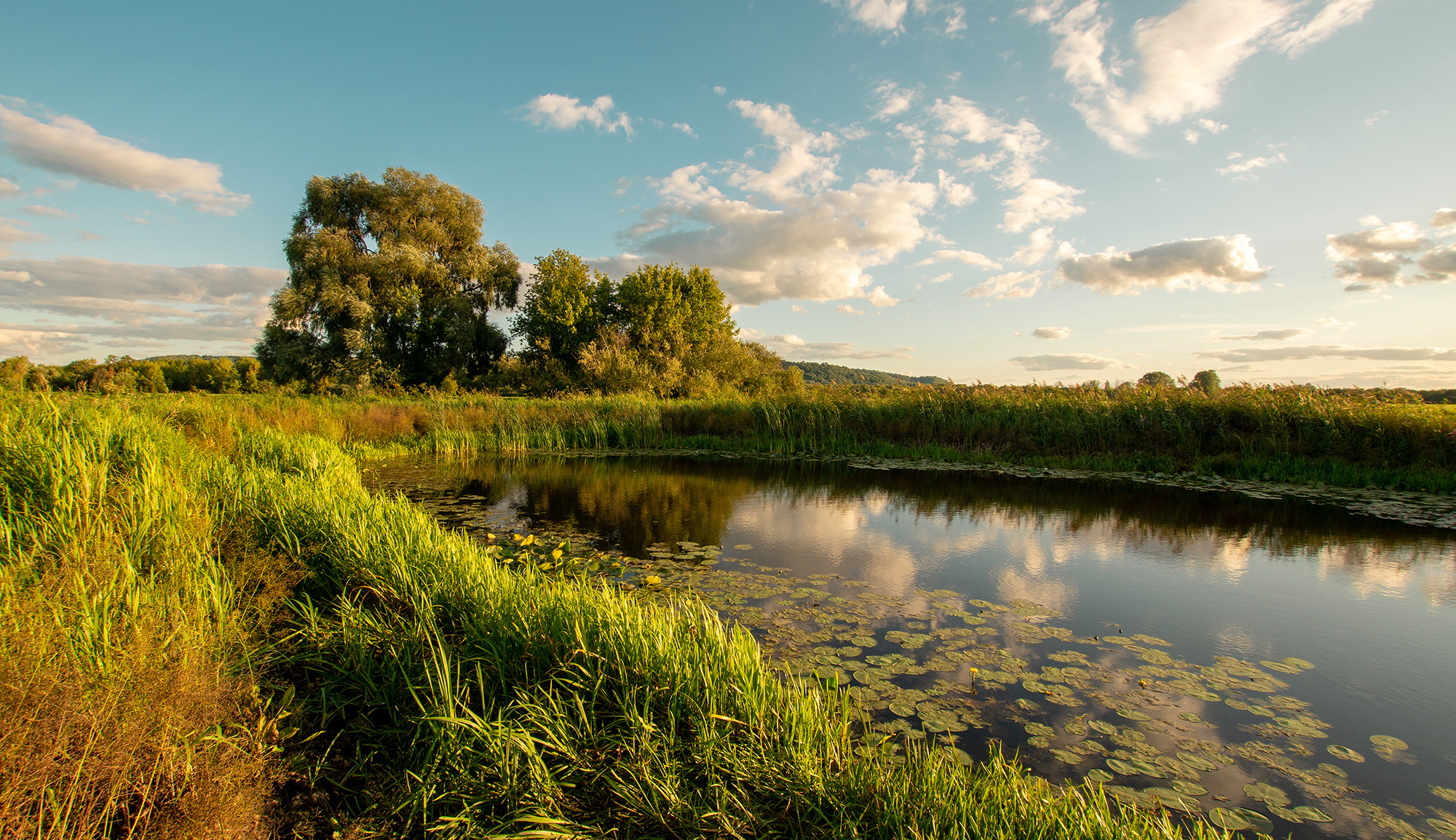 Никифарово Альшеевский район