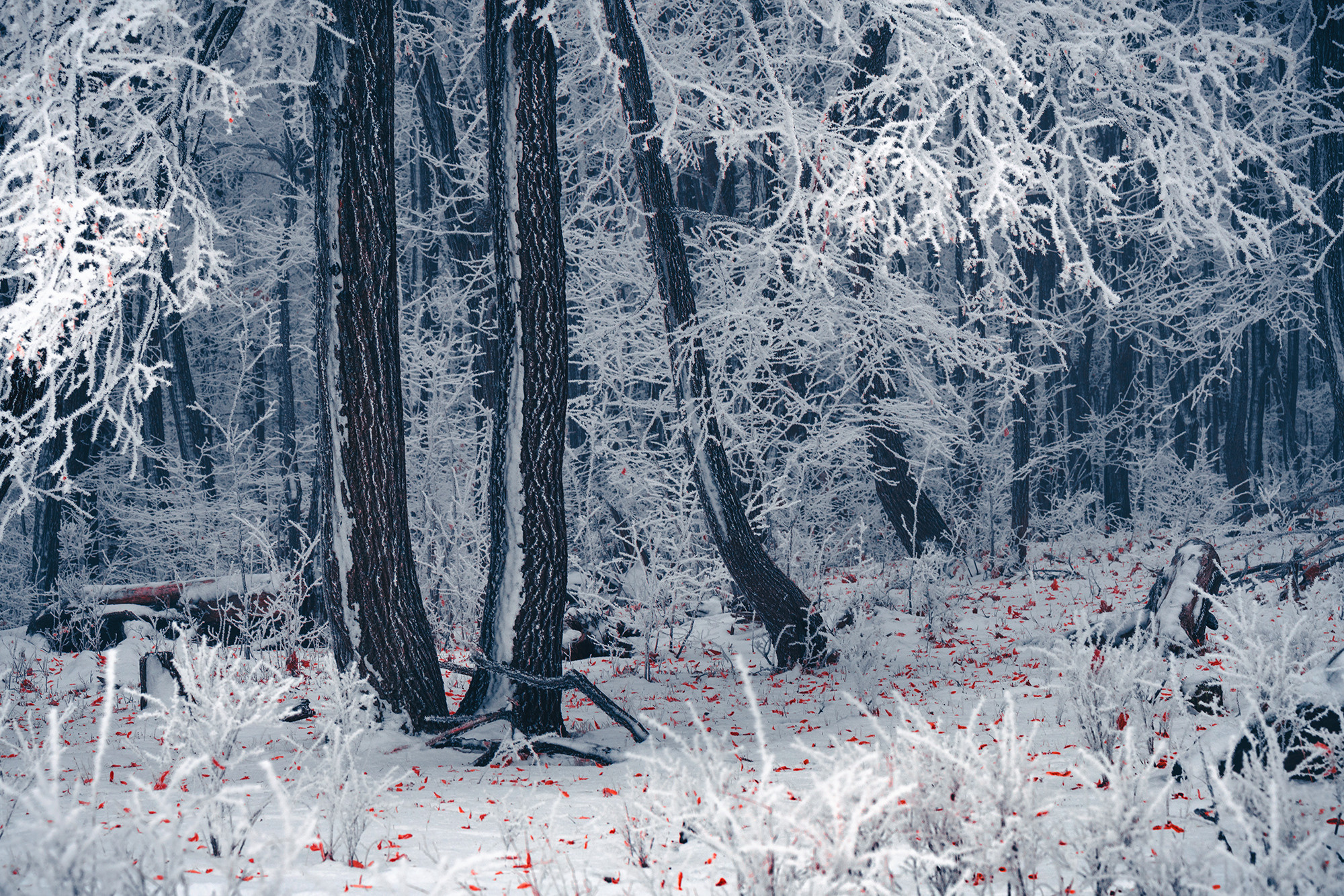 Пейзажный фотограф Руслан Лукманов
