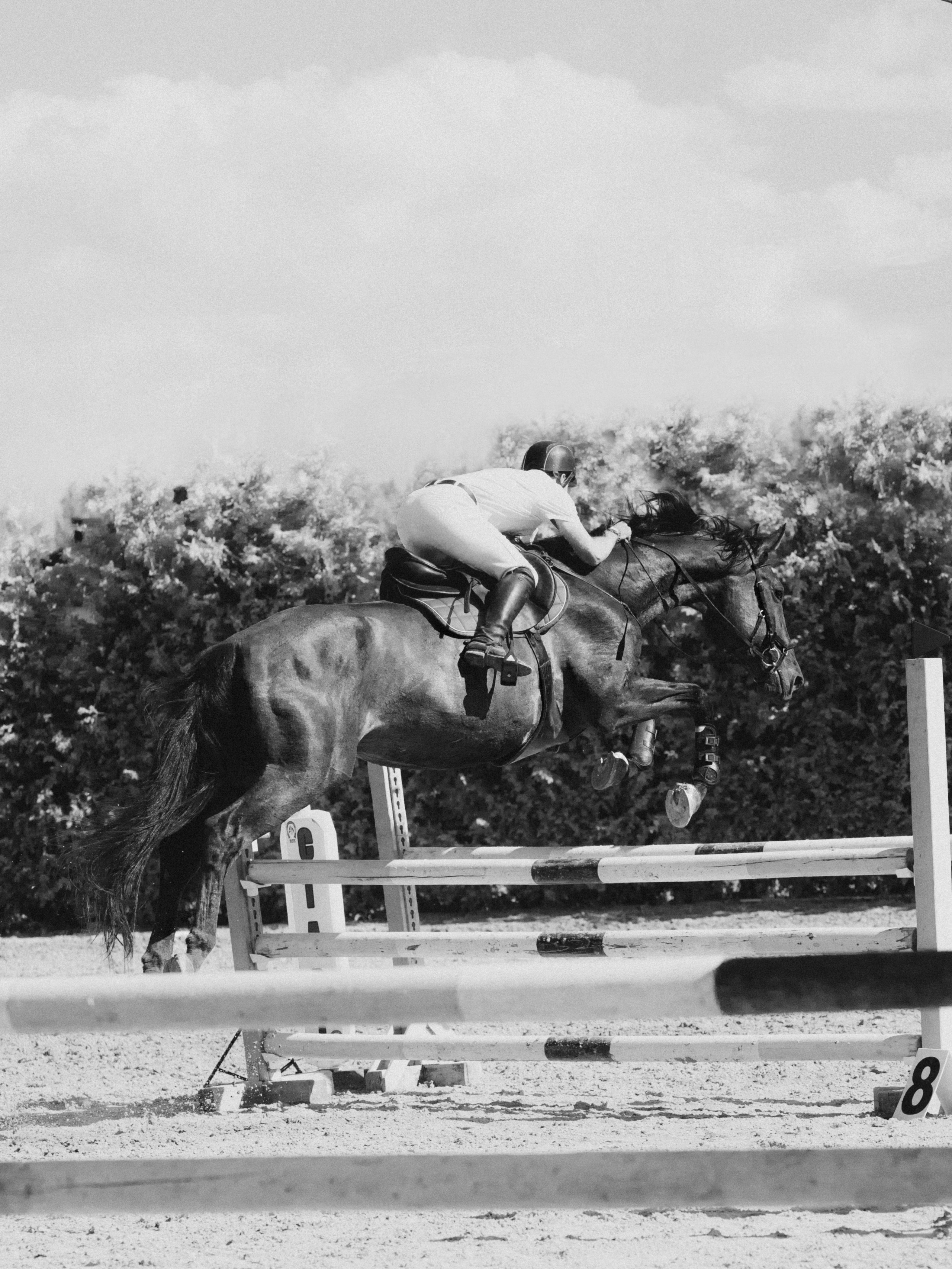 Спортивные фото/видео съёмки (конкур, выездка). Конный фотограф в Калининграде Елена Курбатова