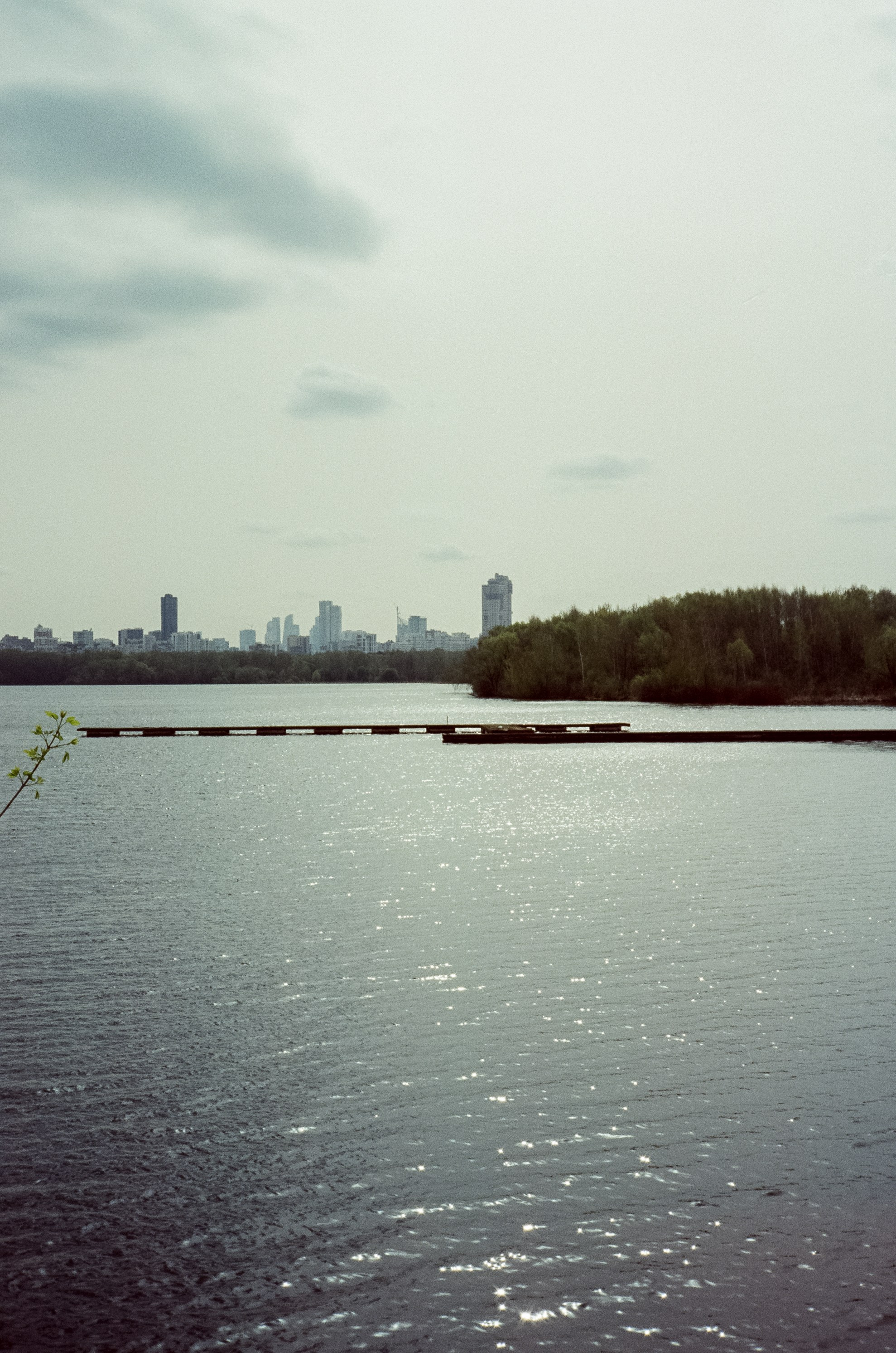 Ricoh 500GS / SFL 200T / Строгино тестовая пленка апрель 2024 г