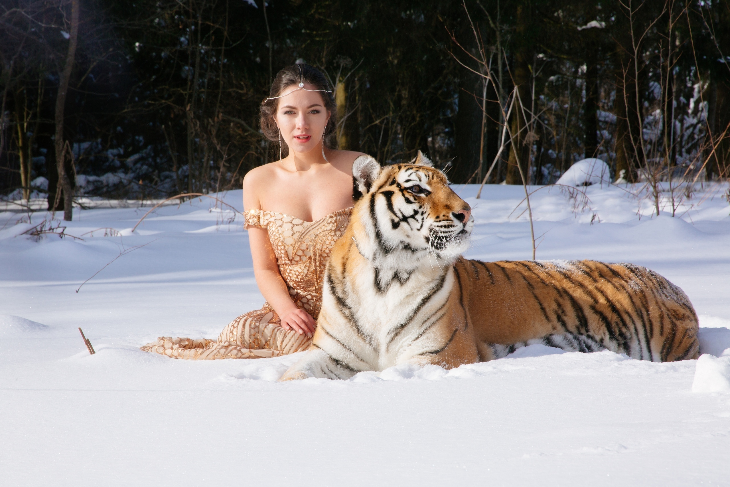 A Tiger’s Wedding 25.02.2018. Воркшопы для фотографов в Москве и по всей России