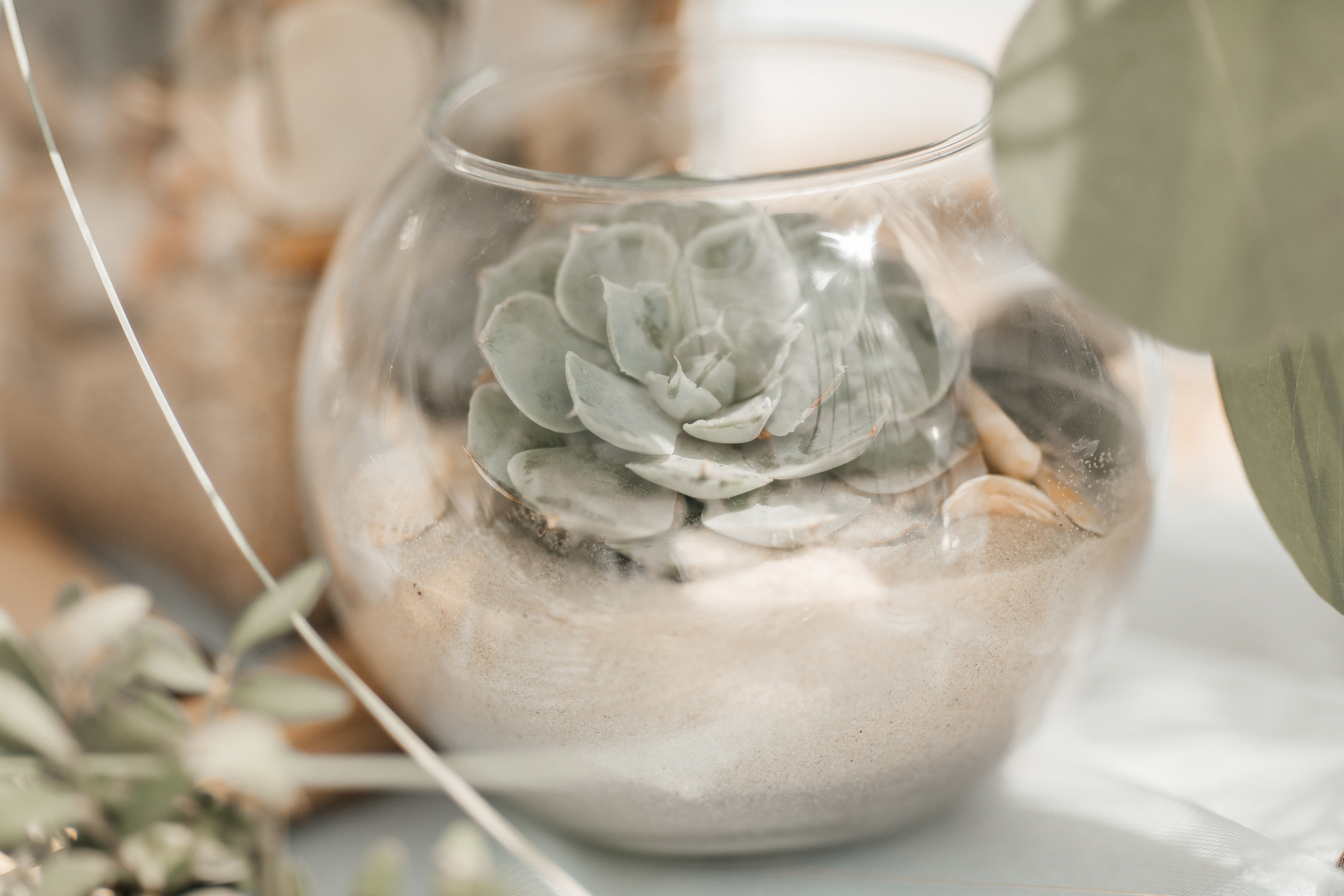 Wed’love summer 16.06.2019. Воркшопы для фотографов в Москве и по всей России