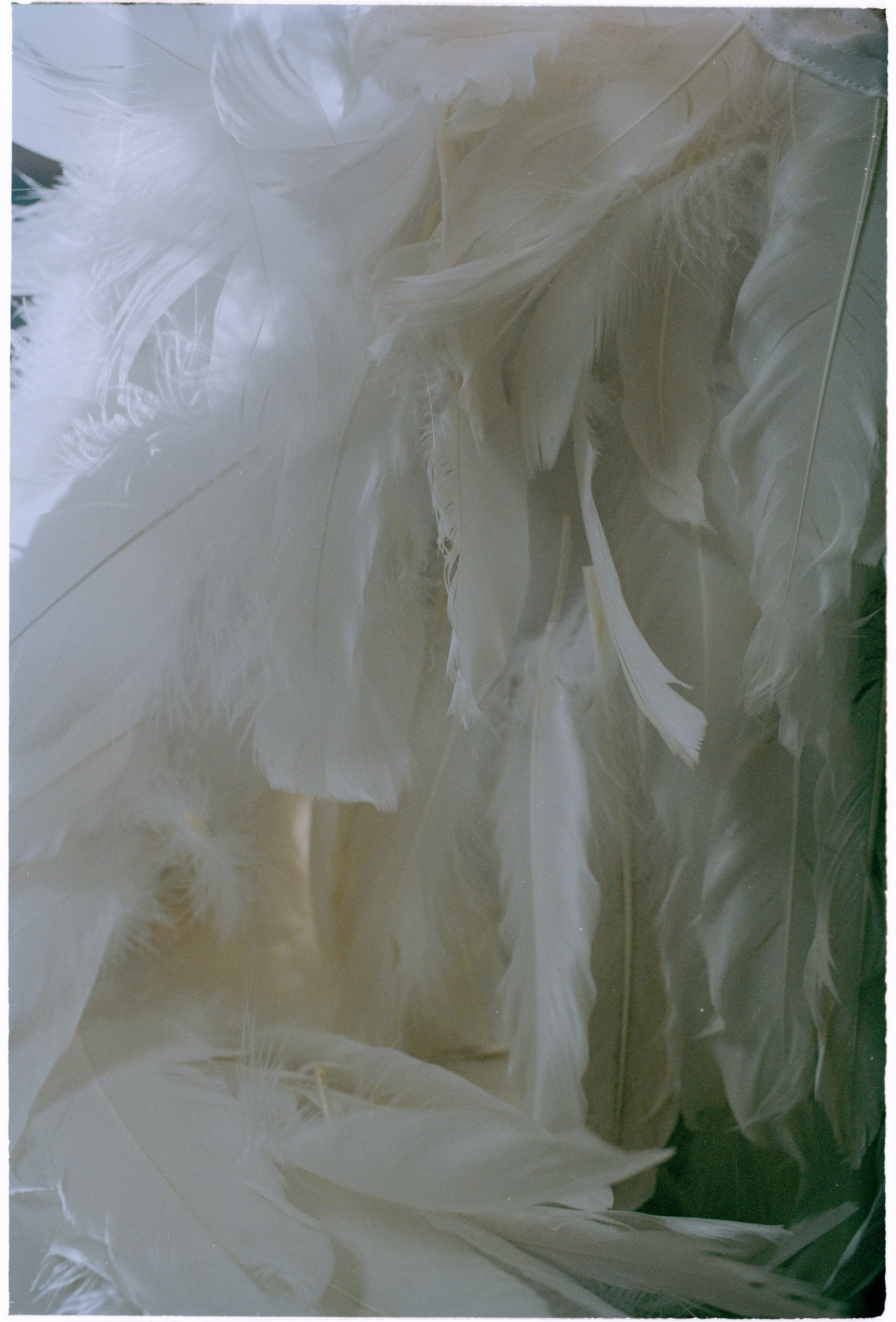 Лиза Громова. Илья Симонов фотограф москва