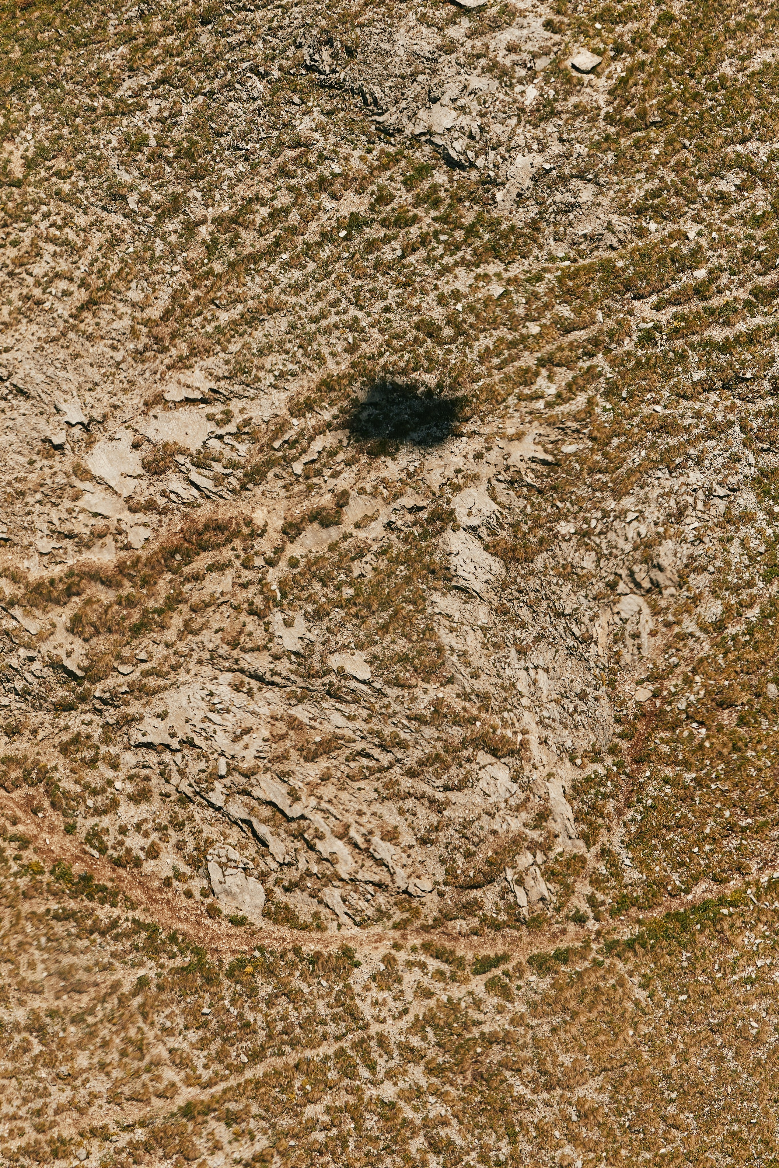 PRIVATE Arkhyz 22.06. Свадебный репортажный фотограф краснодар максим дремов дрёмов фотосессия студия цена