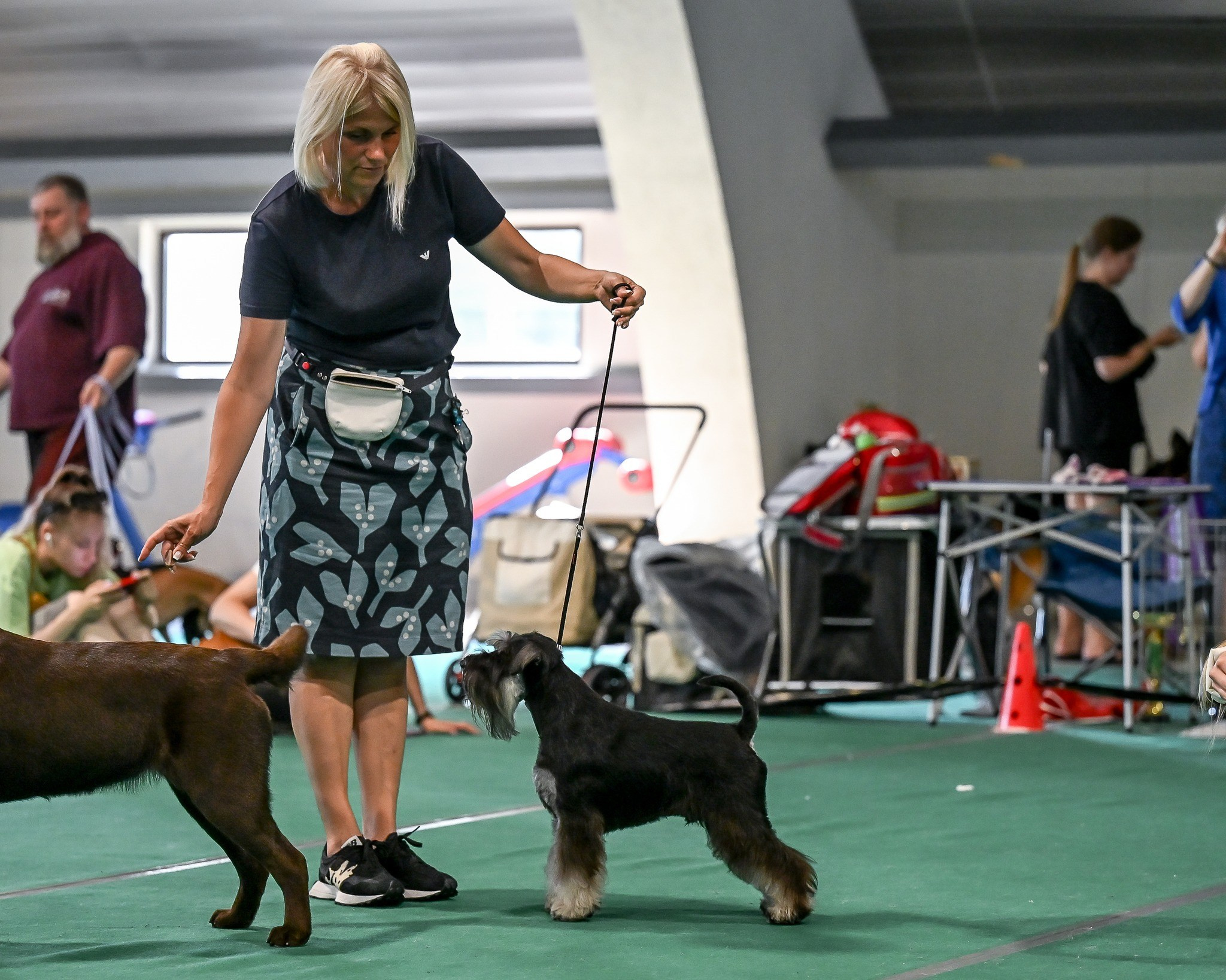 Цафир⚡️DELINSO BALANCE СZAFIR LUMIER