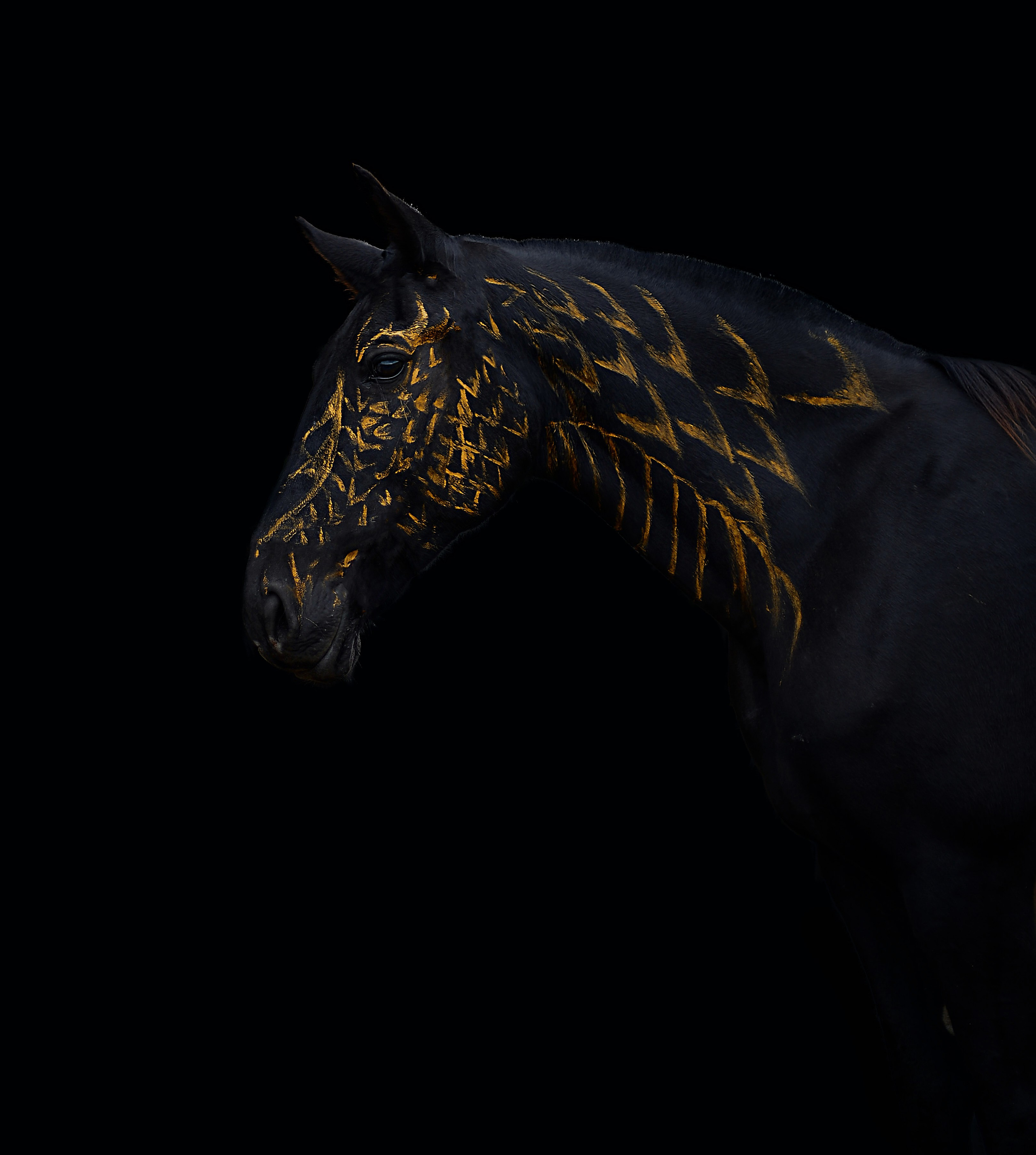 Княжа. Фотограф в Севастополе