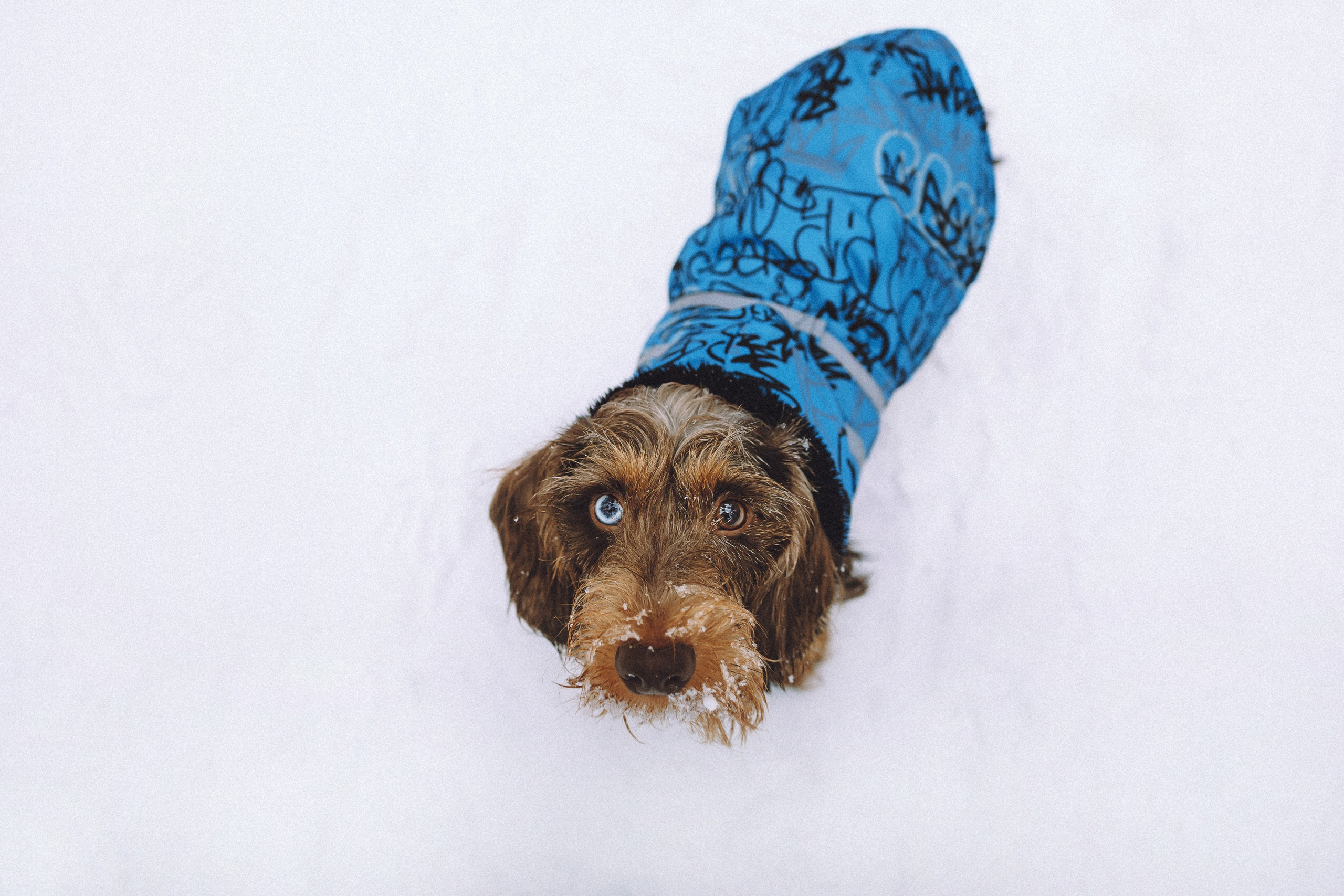 Каспер и его семья