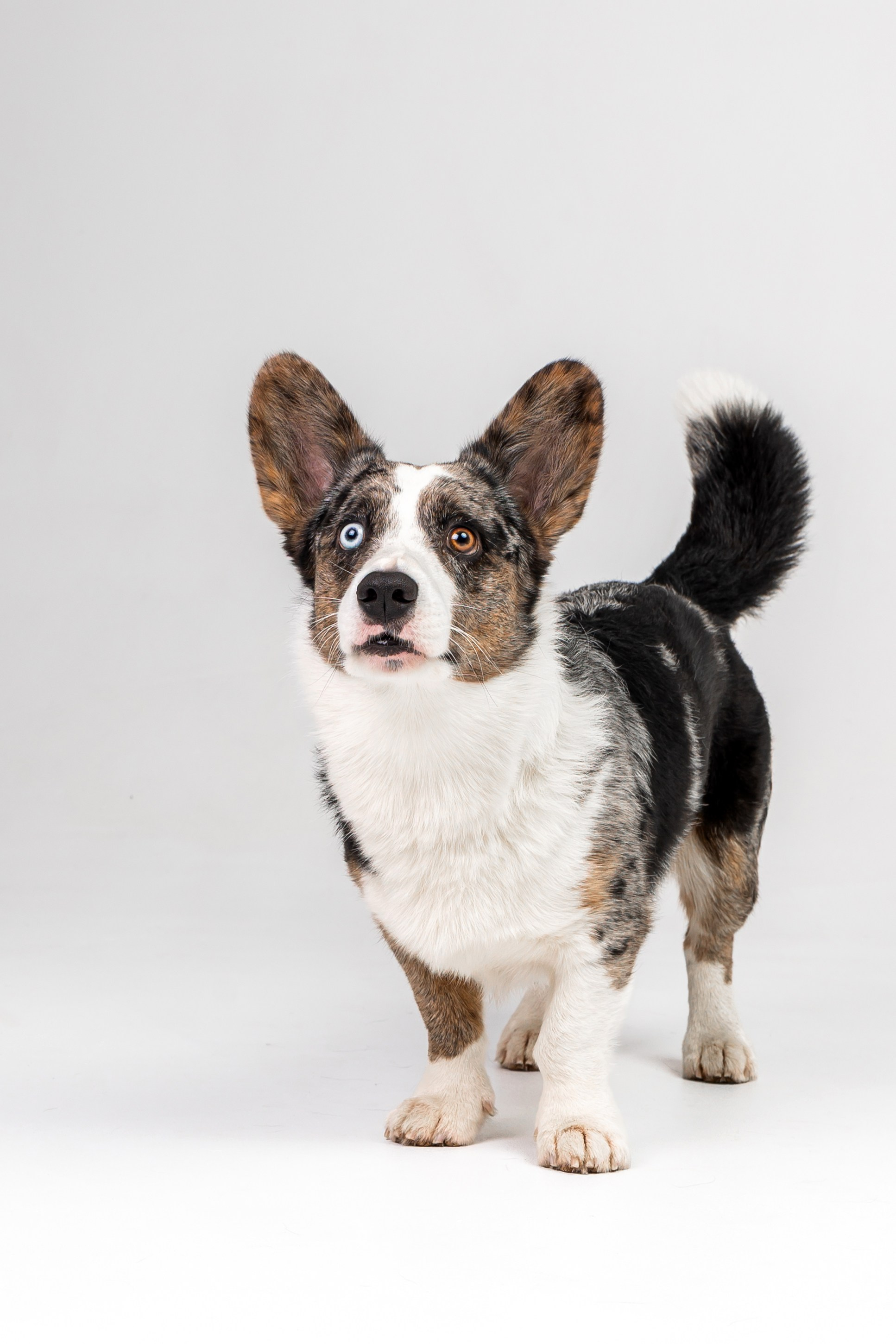 Анатолий и Рагнар