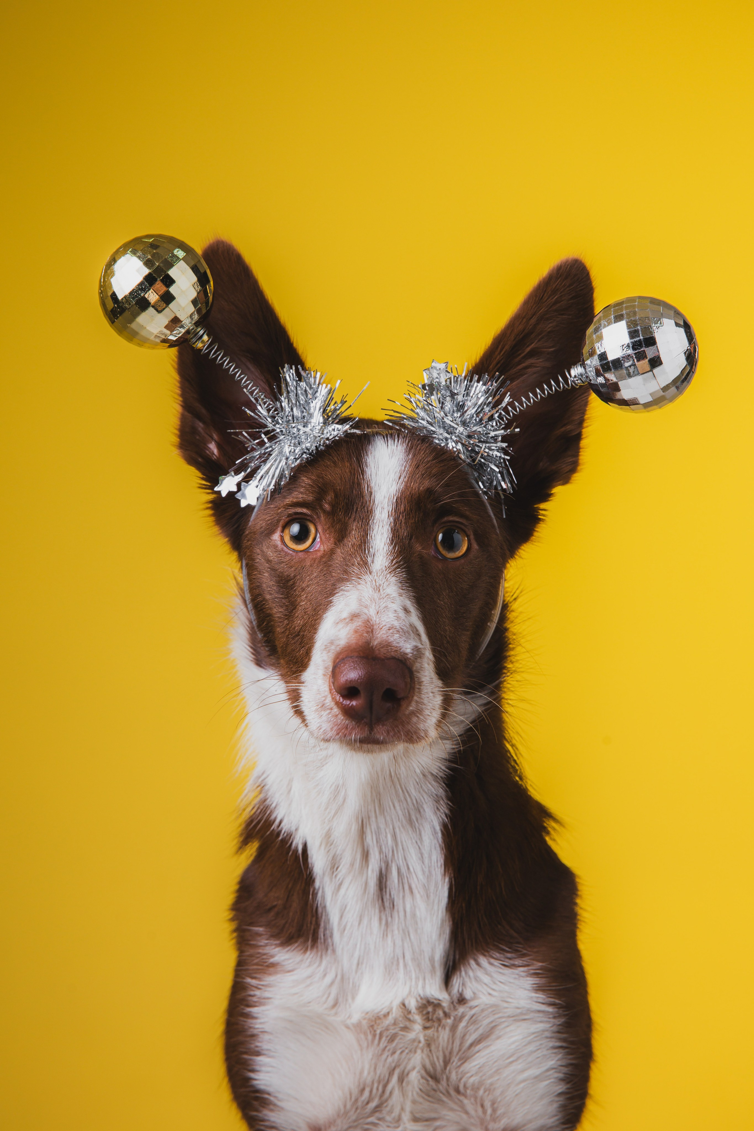 Воркшоп по импульсному свету
